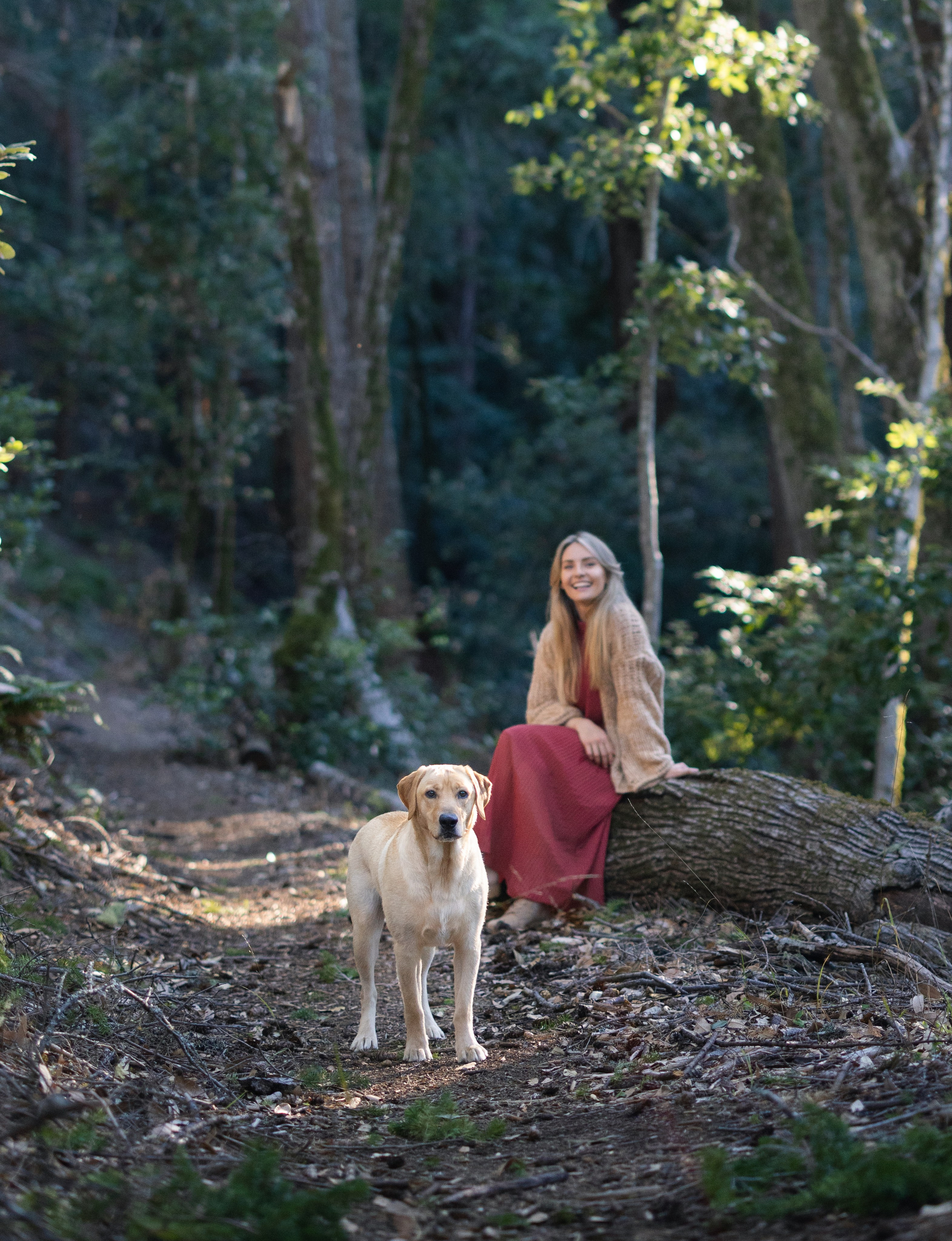 Portfolio. Levantera Photo San Francisco Bay Area Photographer Natalia