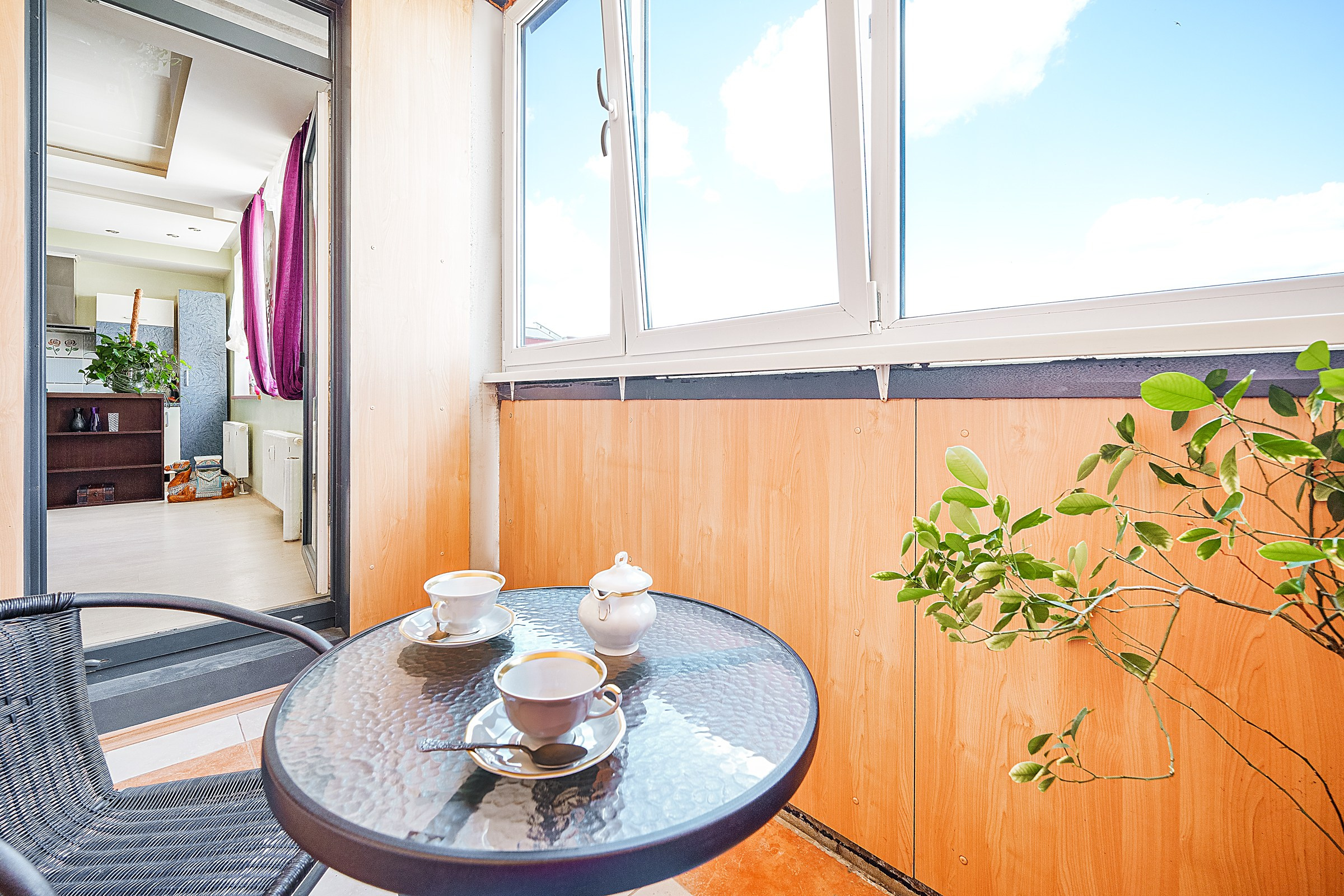 Perkūnkemio g. Elina Sapiega fotografė Vilniuje