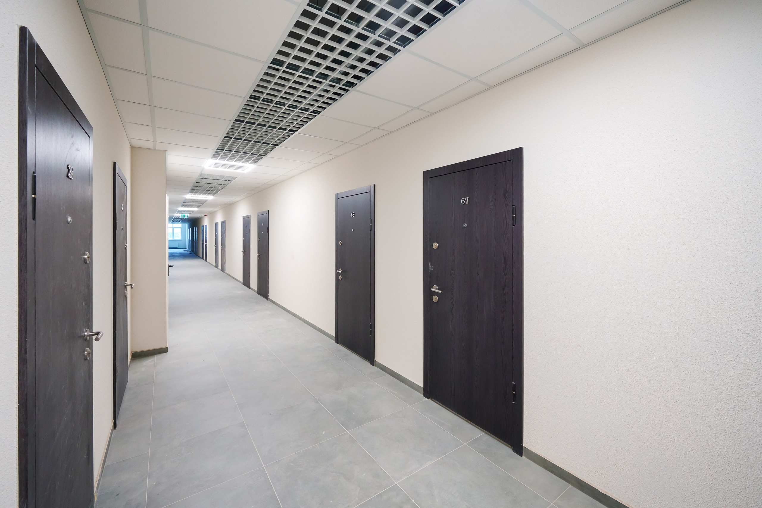 Naugarduko g. 41. Elina Sapiega fotografė Vilniuje