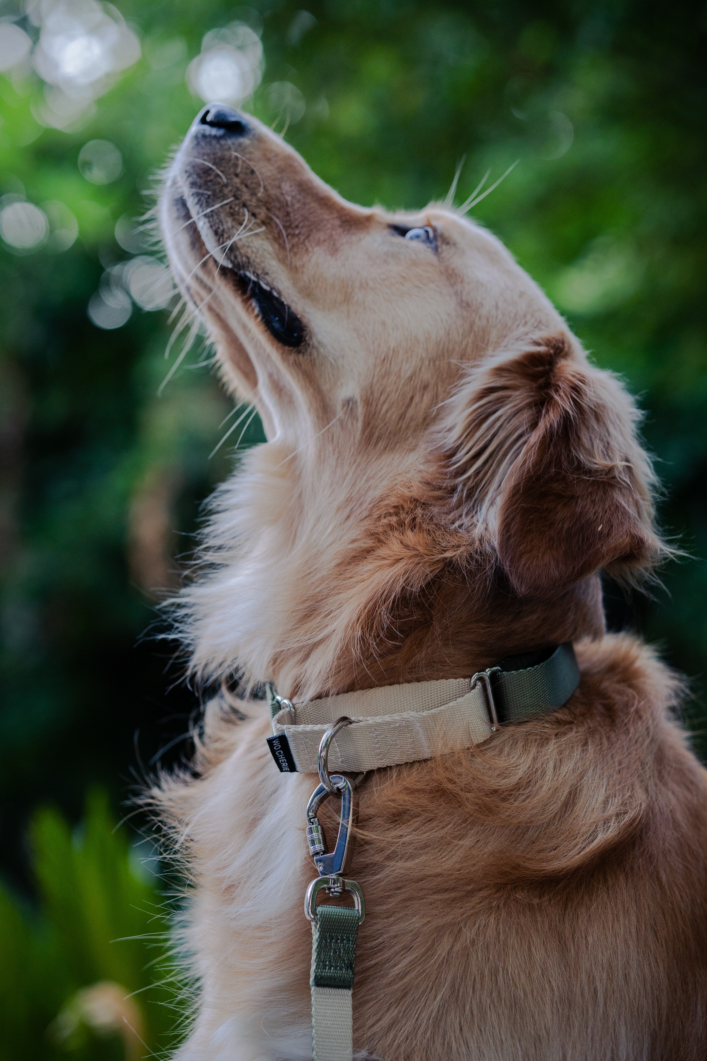 Wo.cherie. Lisbon Event Photographer