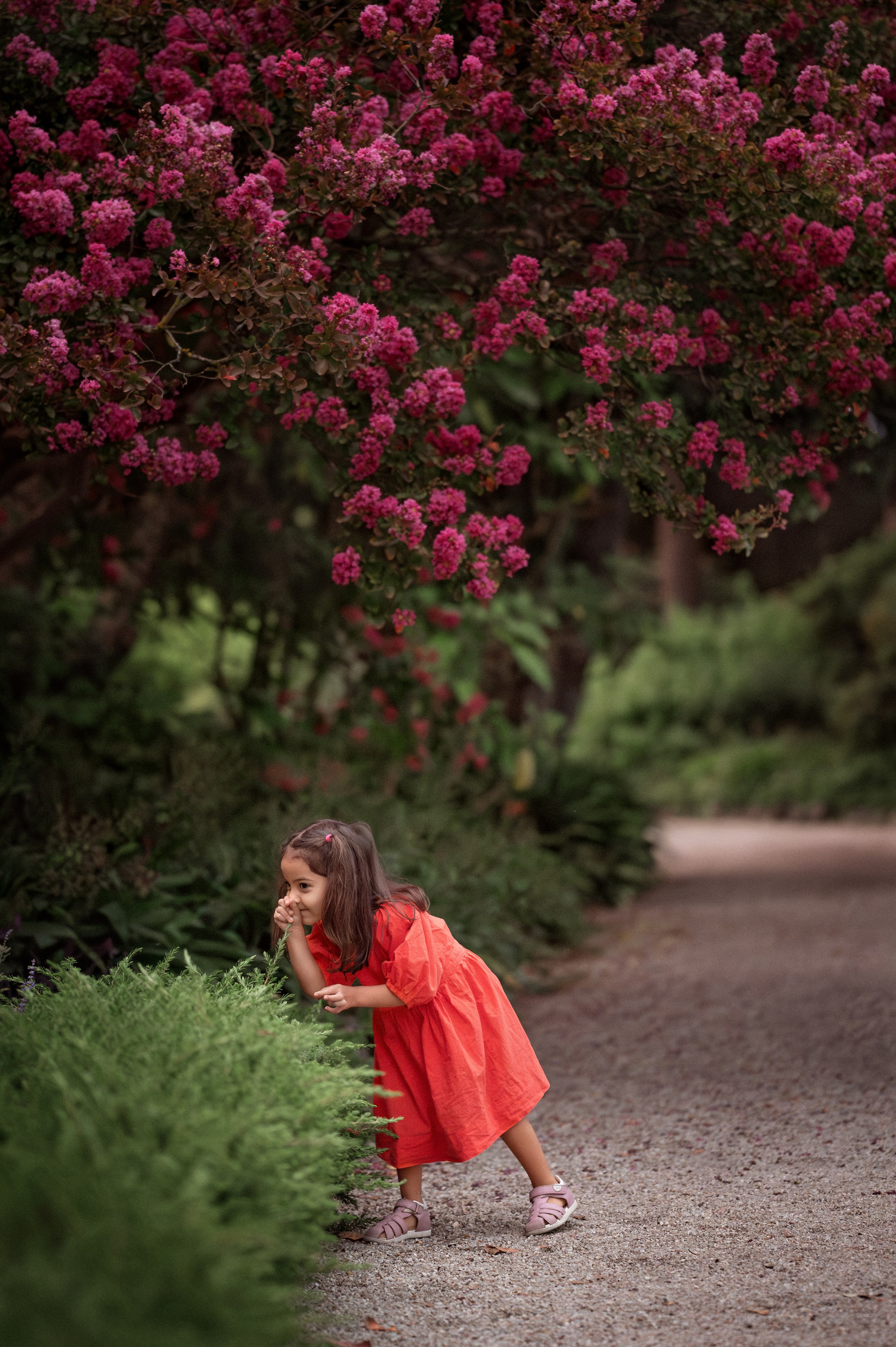Family. Natasha photo Photographer in Melbourne