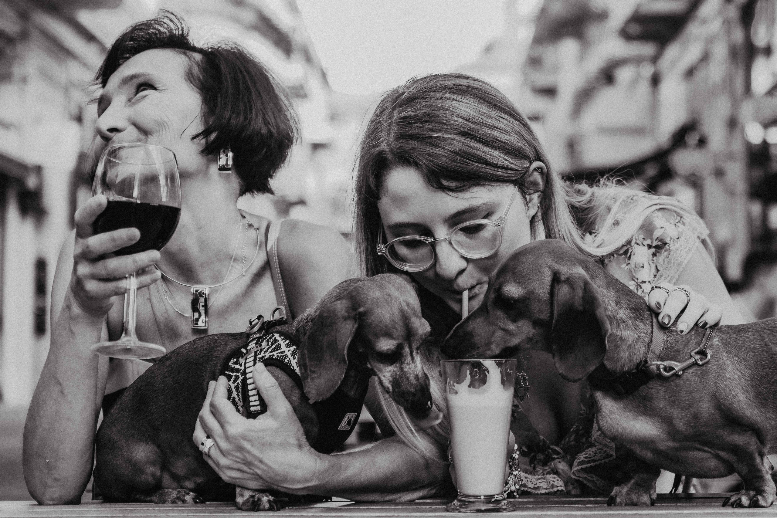 Kseny Kolesnik Photography