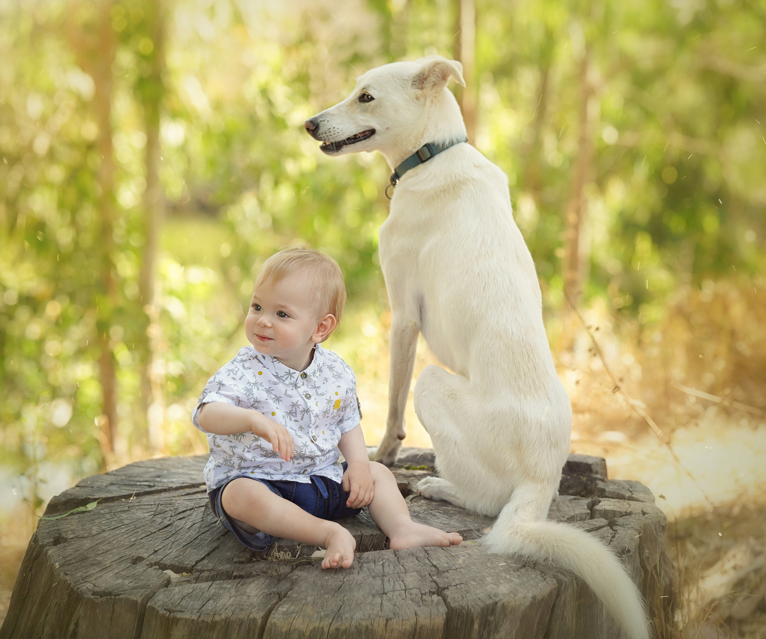 LA FAMIGLIA. Lina Zlotnikov