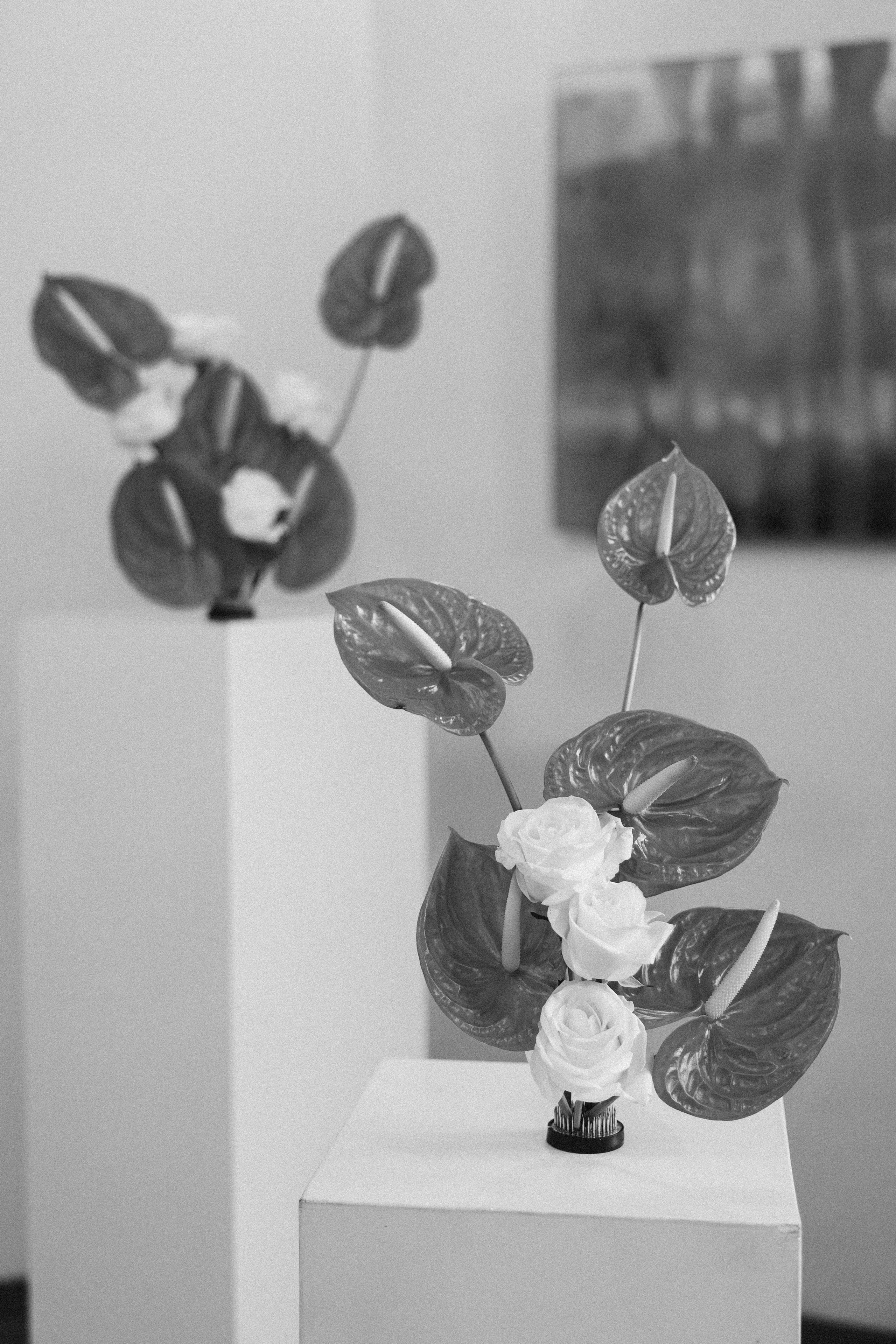 Gabrielė ir Edgaras