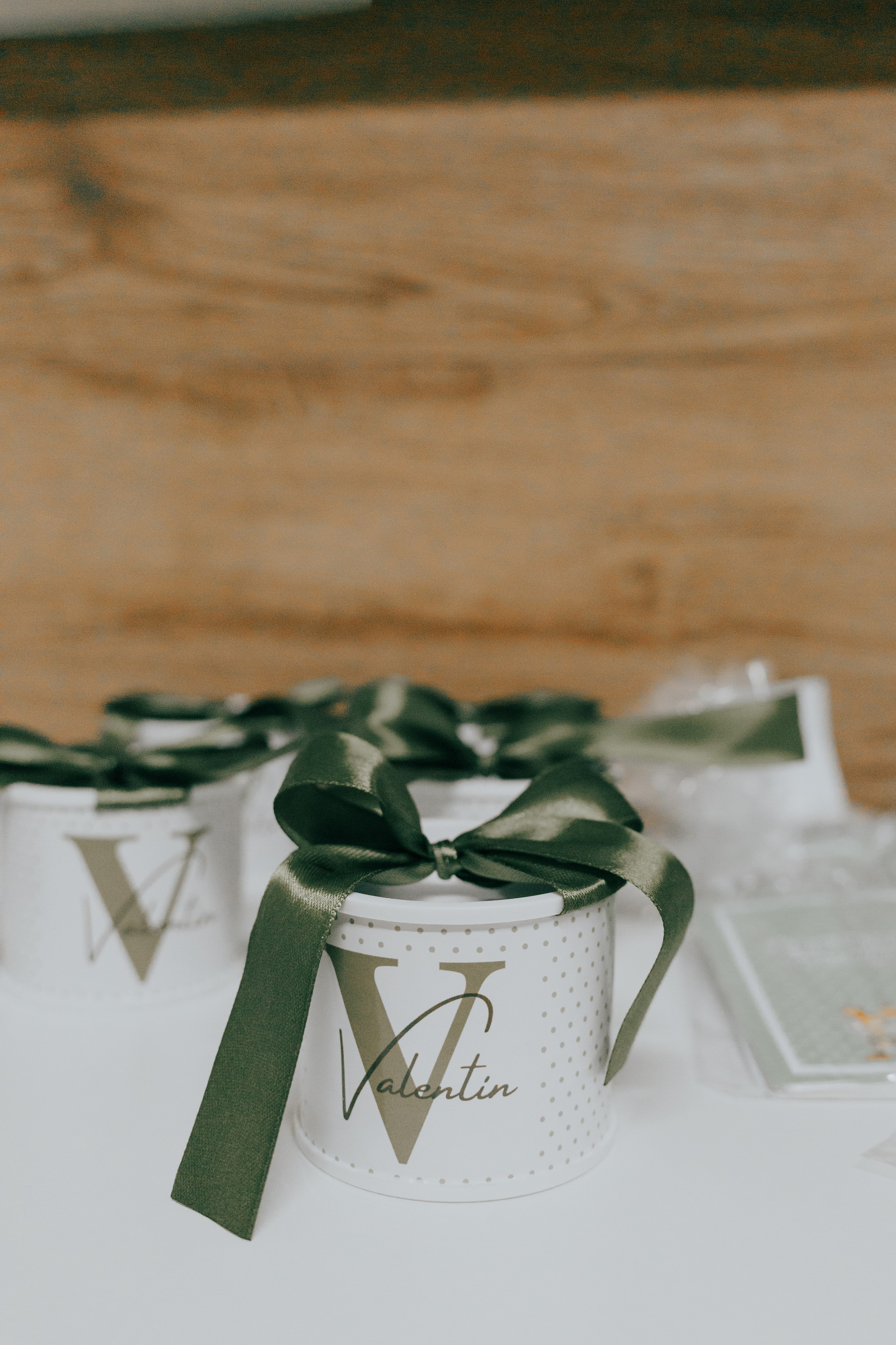 Nascimento de Vicente