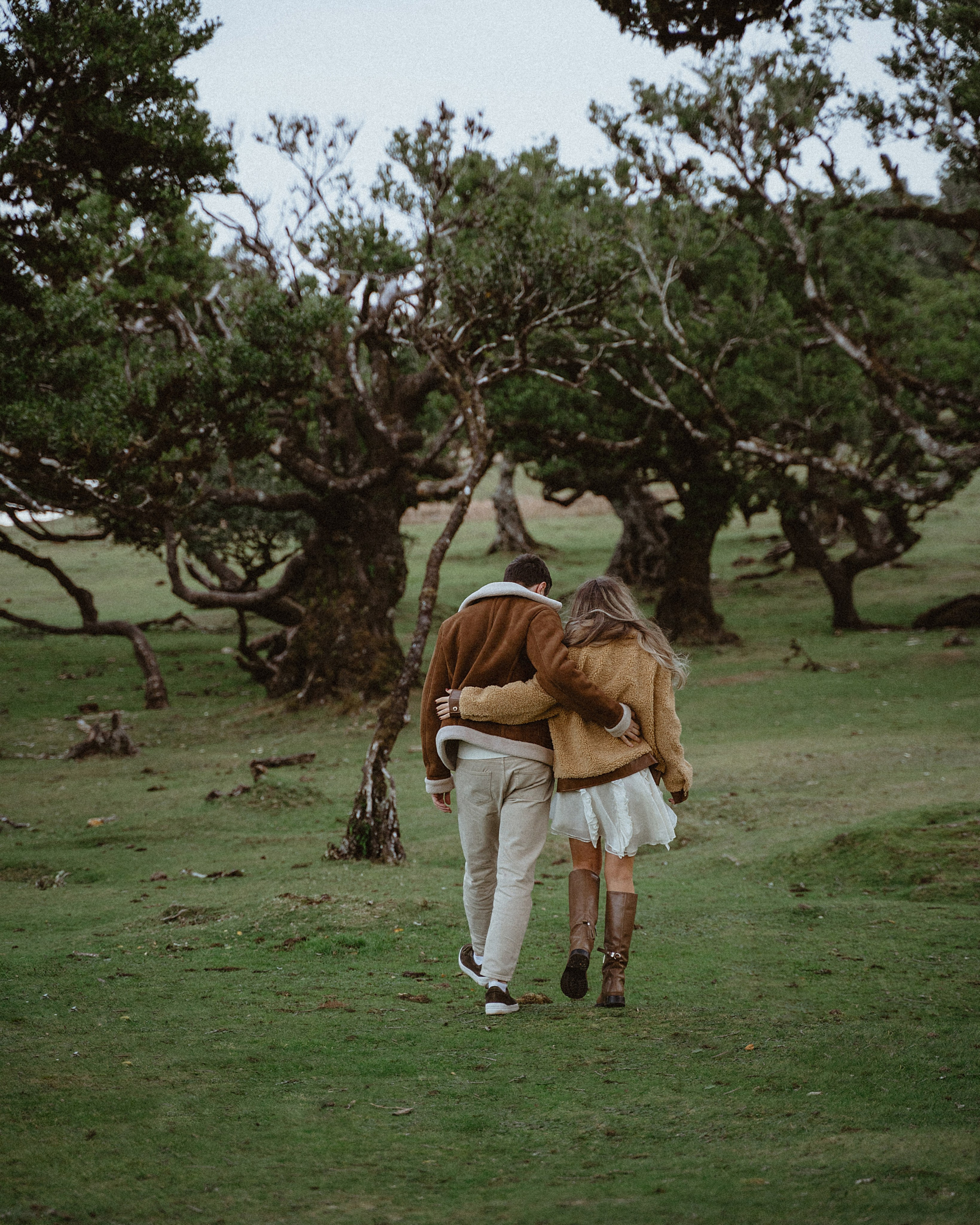 Love Story in Fanal Forest | Madeira Couple Photoshoot. Your photographer in Madeira