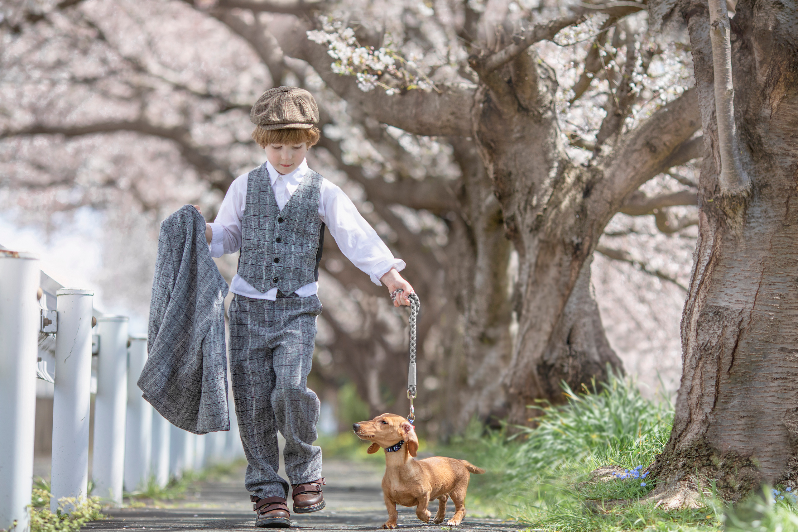 出張カメラマン　七五三　753 家族写真　家族　子供　記念写真　山梨県　東京　静岡　長野. Kids and Family Photographer in Japan　子供と家族の撮影　日本