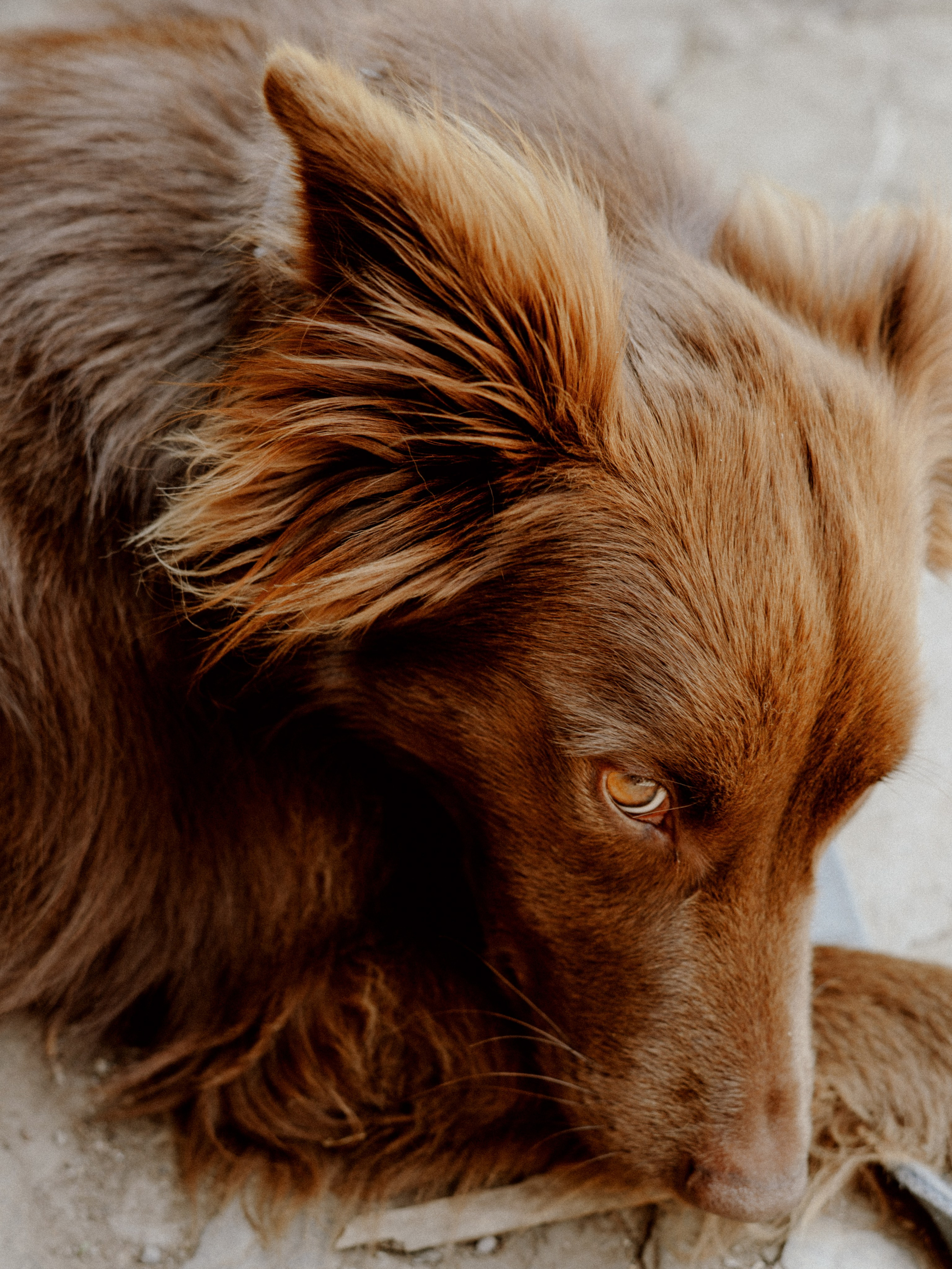 Galeria. Creador de contenido visual en Barcelona | Dima Kit