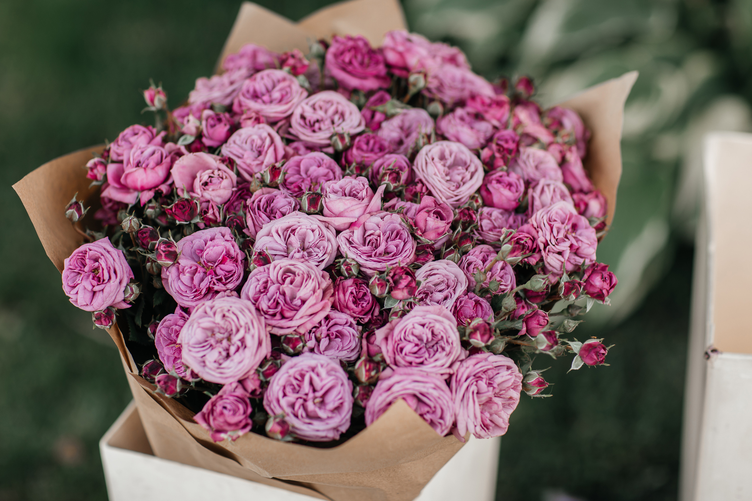 Dan&Nastya. Furduidumitru.com