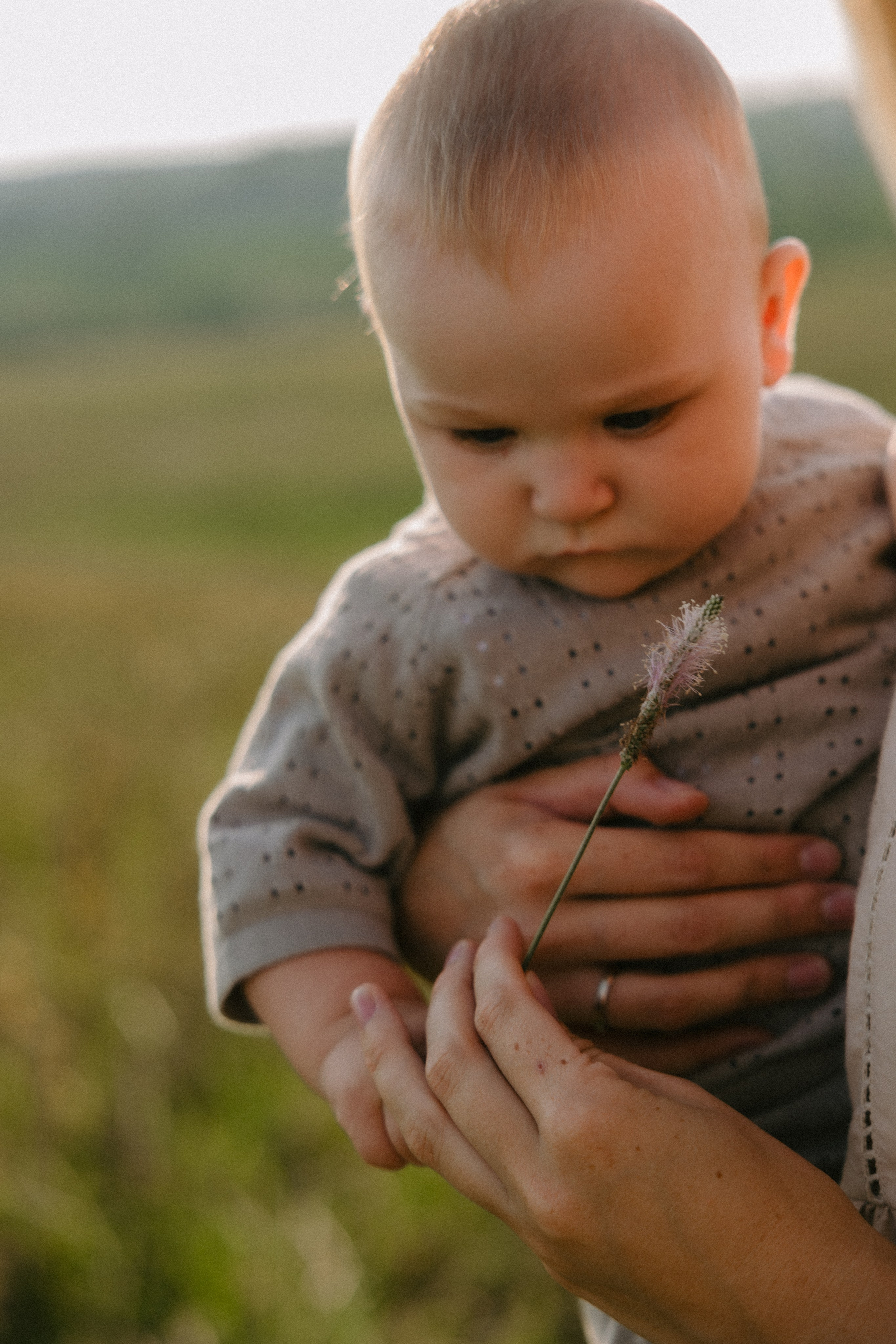 Simonos ir Mariaus šeima | PIEVA. Vestuvių ir šeimų fotografė Lena Bondarenko / belove photo