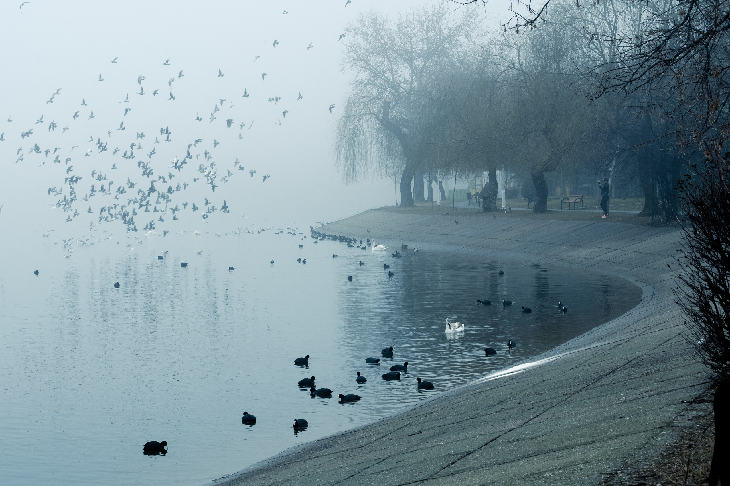 O dimineață cețoasă