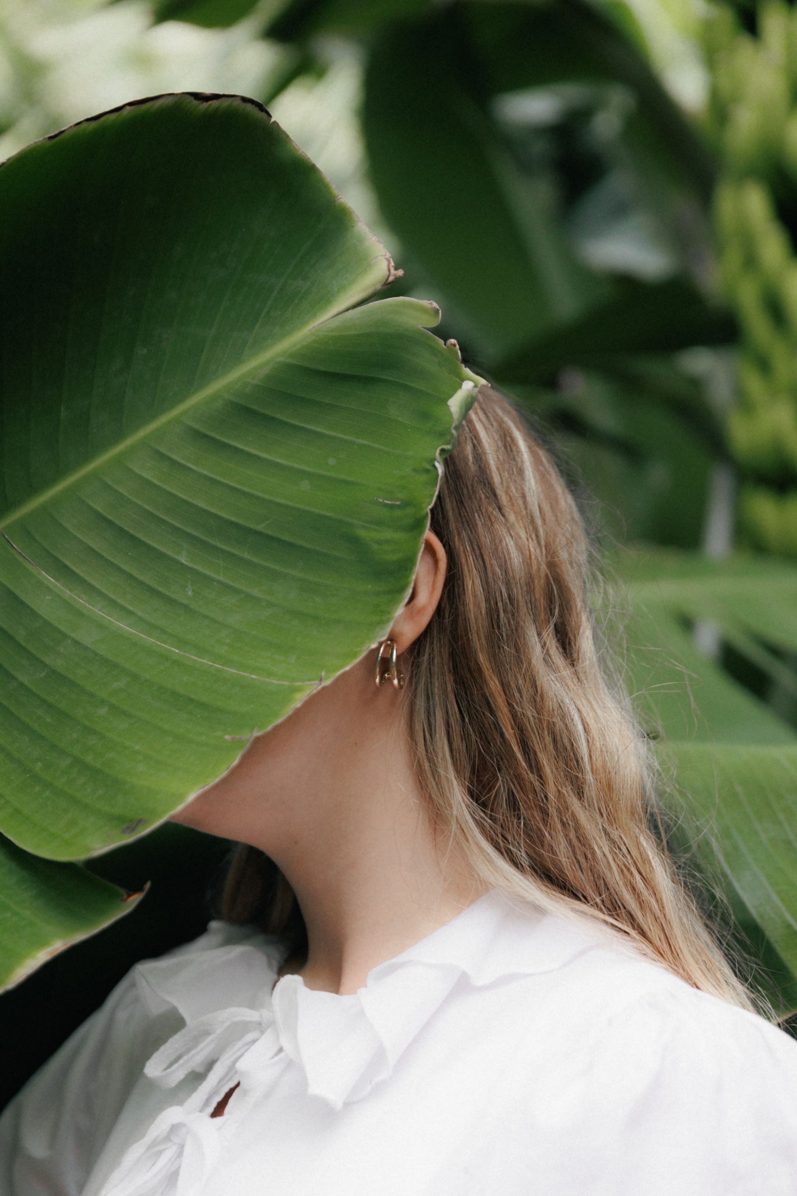 Lost in Madeira. Patricia Morenci — Mountain Adventures for the Wild at Heart