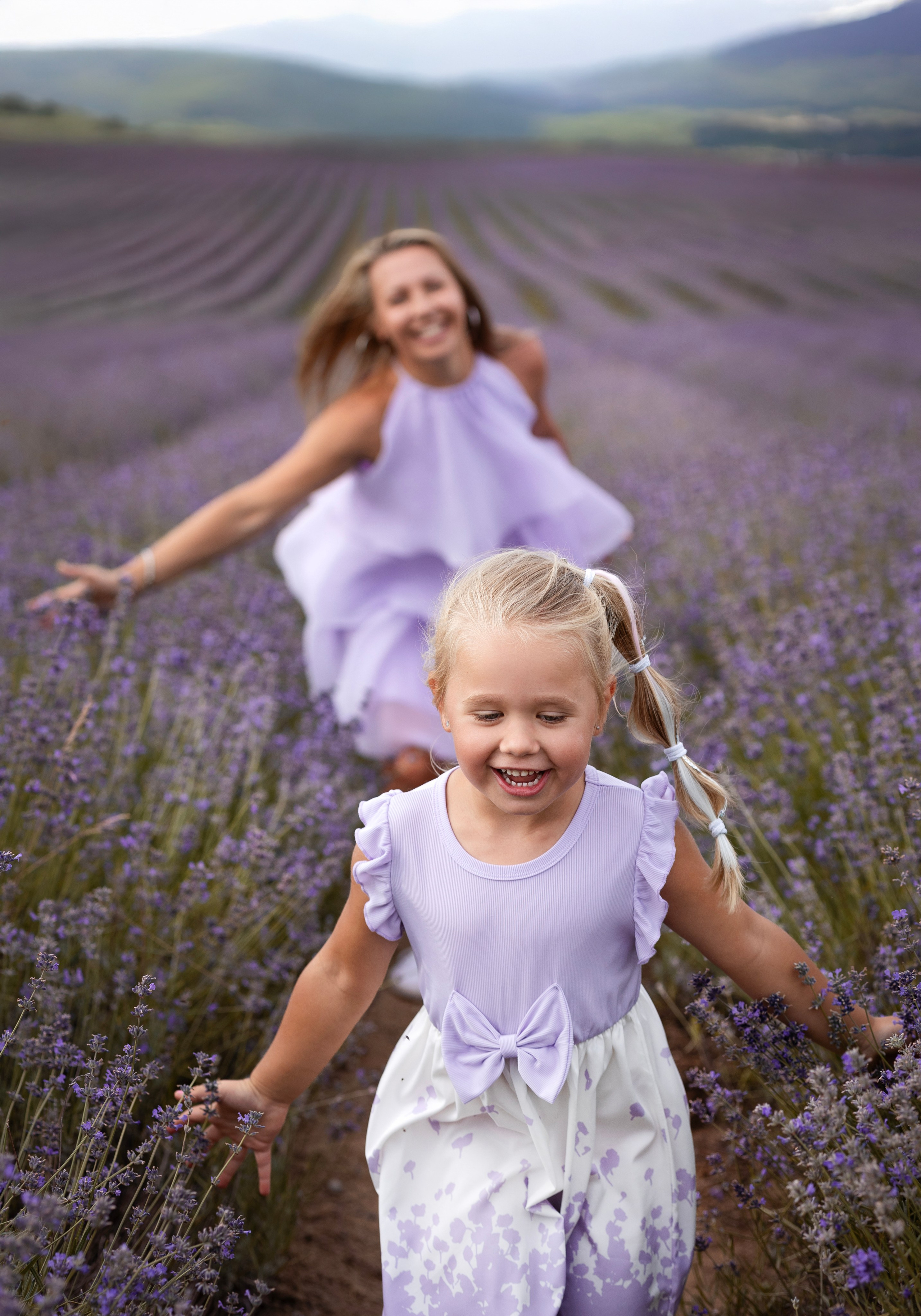 Lavendel. Photographer in Munich