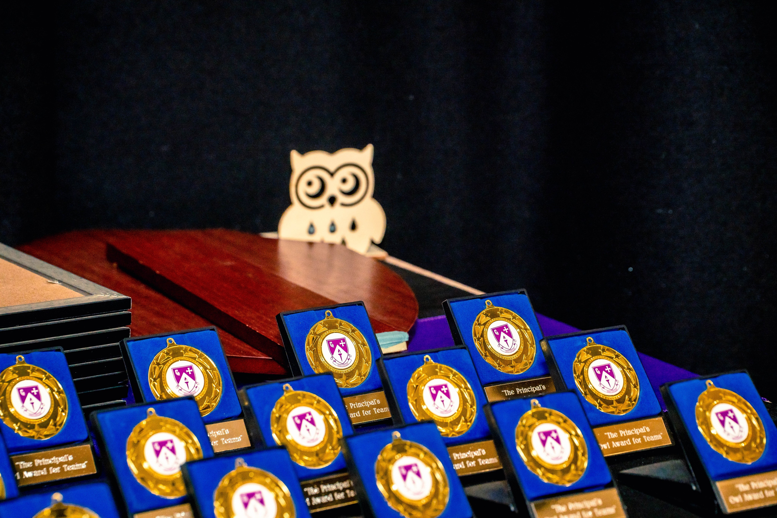 The Owl Society. Expect Miracles Photography