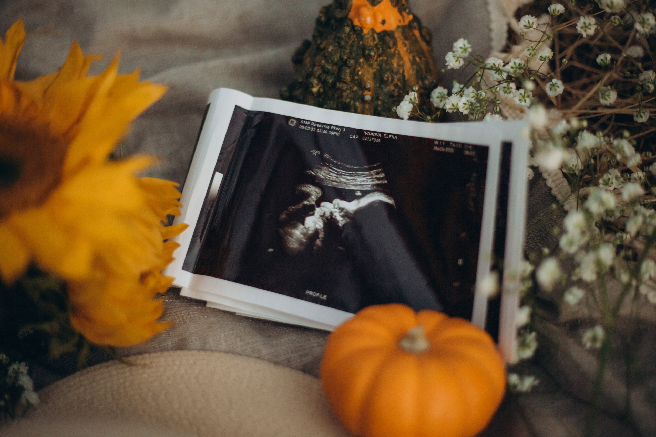 Wonderfule Pregnancy. Family and children’s lifestyle photographer Elena Tumanova