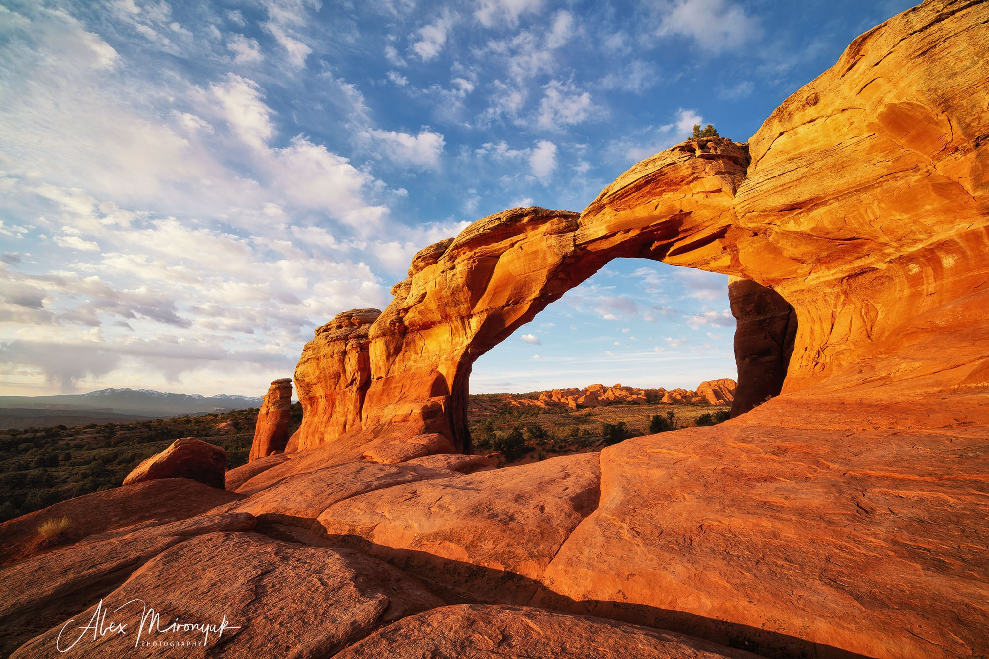 New Year In Utah. Pet, Senior, Landscape, portrait studio, photographer in Miami and Sou