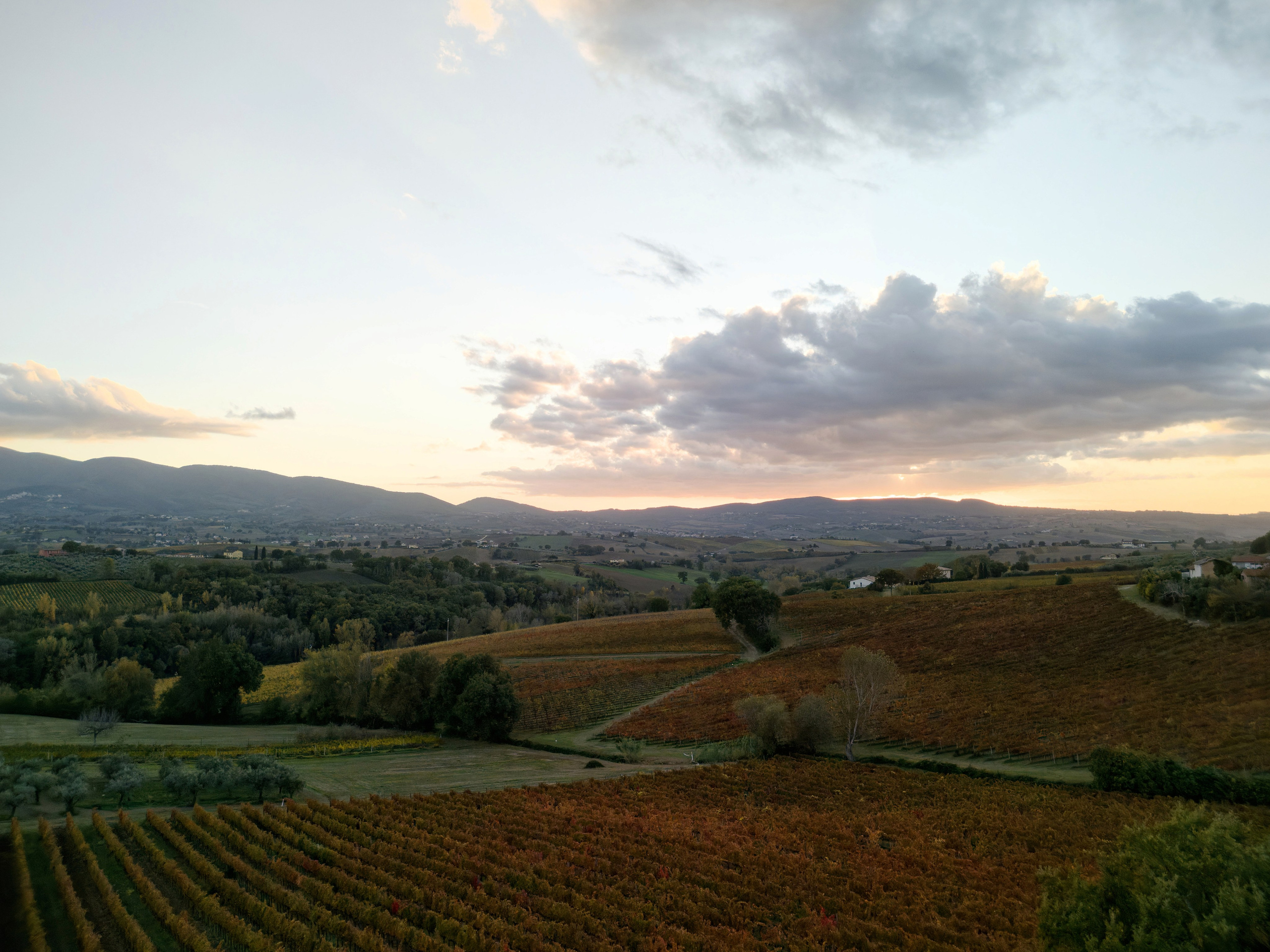Wedding at Fonte Sala, Umbria
