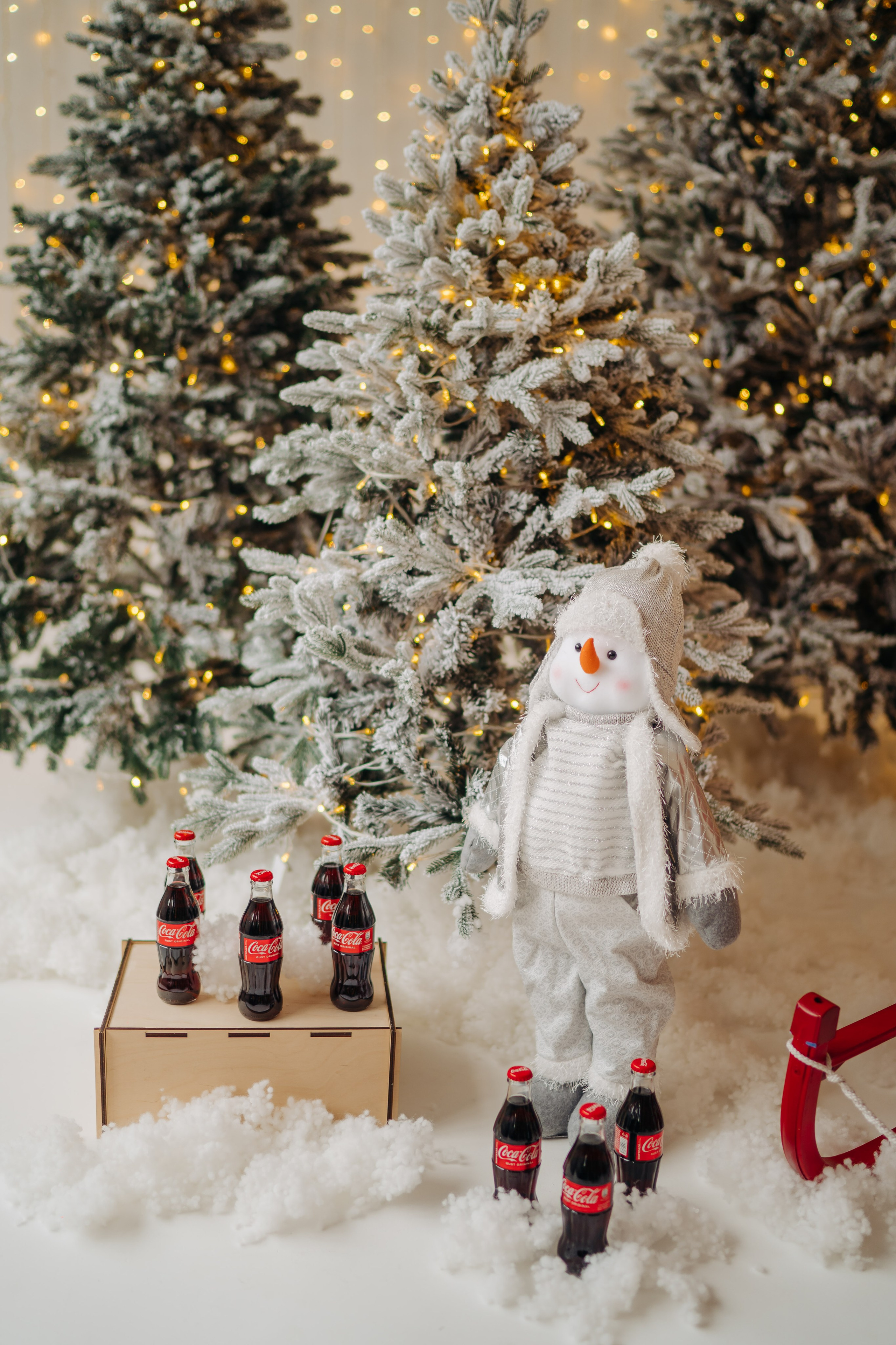 Ședința foto de Crăciun. Diana Muntean Photography