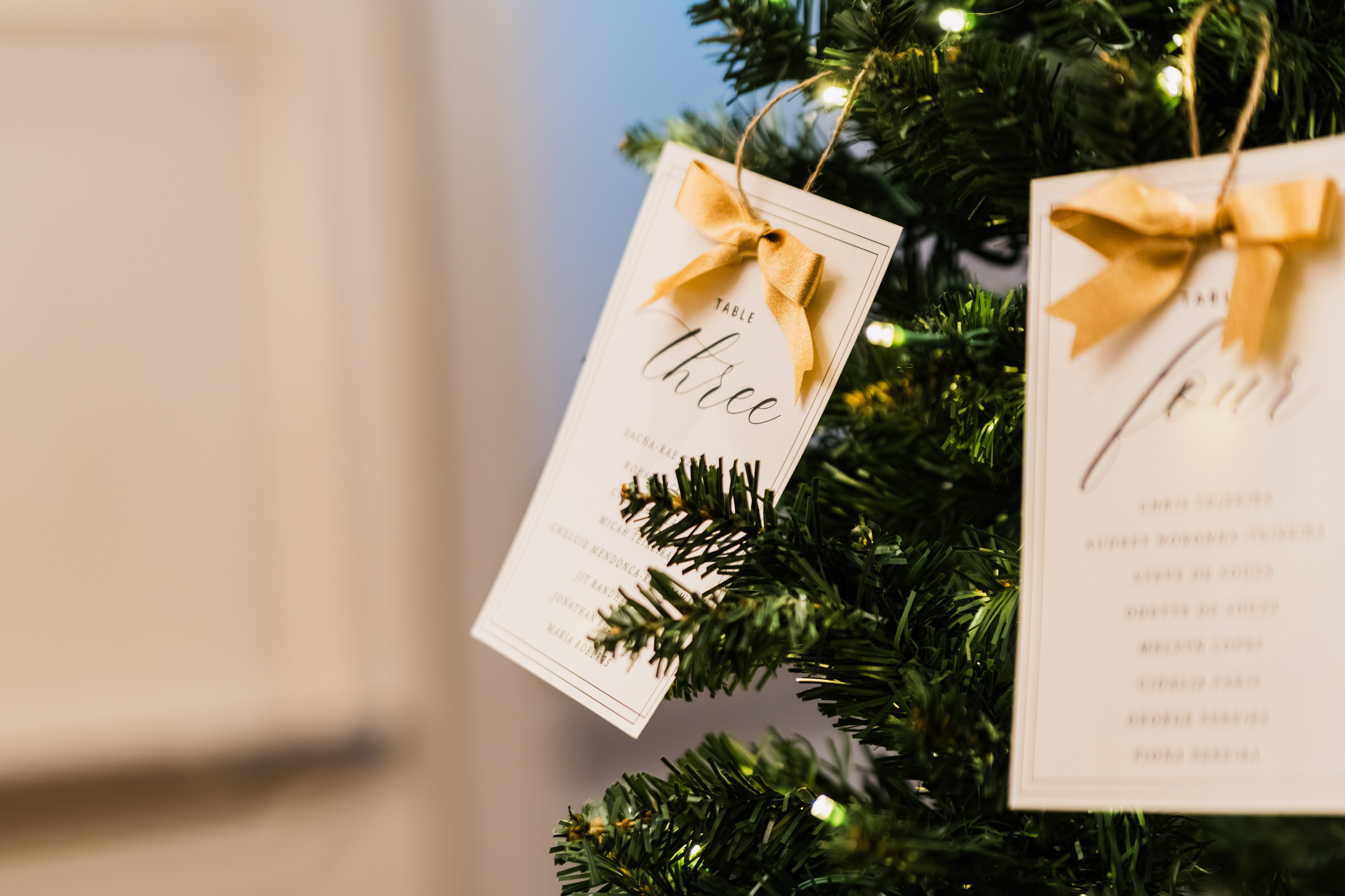 Arantxa&Devohn. Madhurina photography