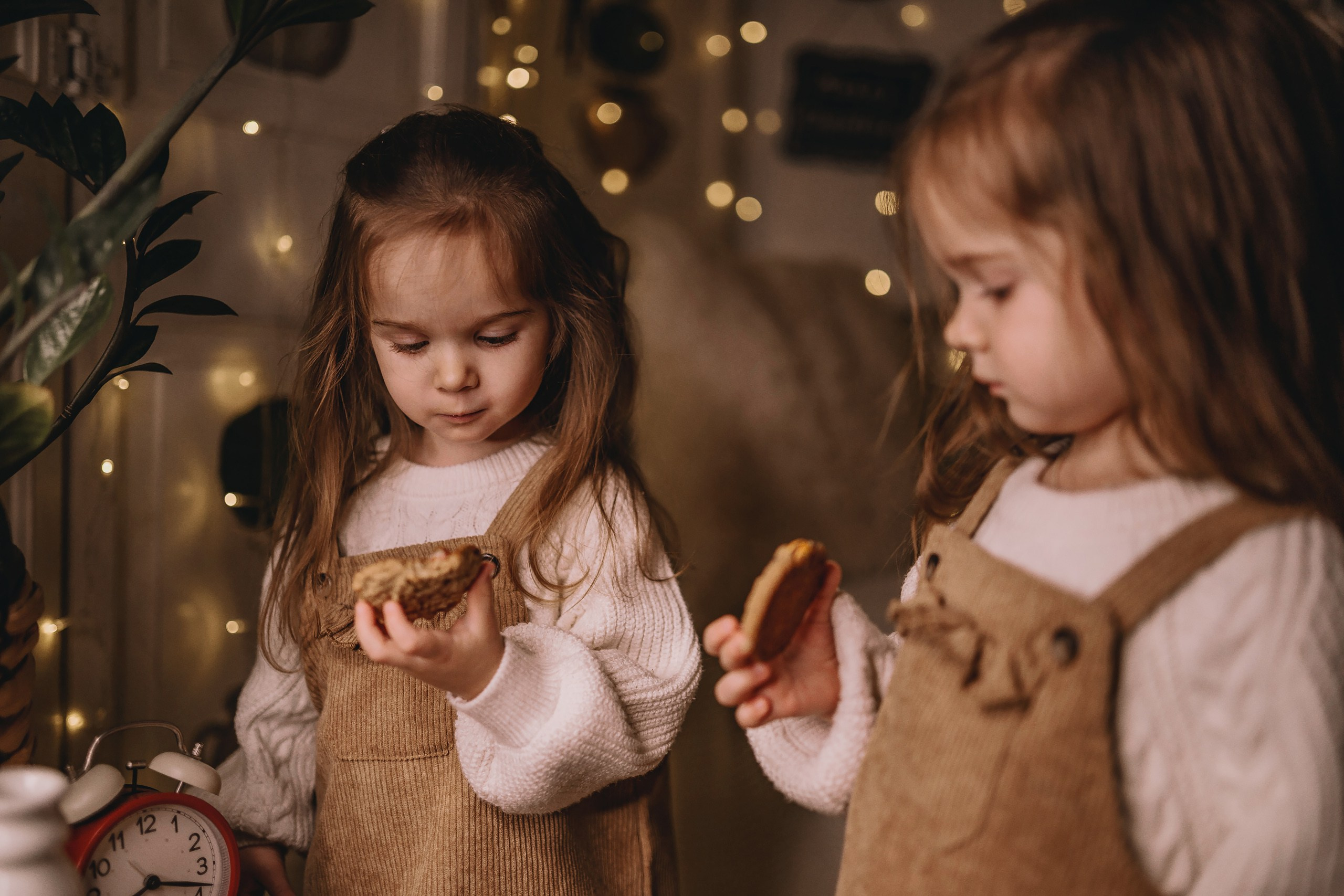 11.26.2025 Christmas Photoshoot. Wedding family event photographer in Chicago Nick Yushevich