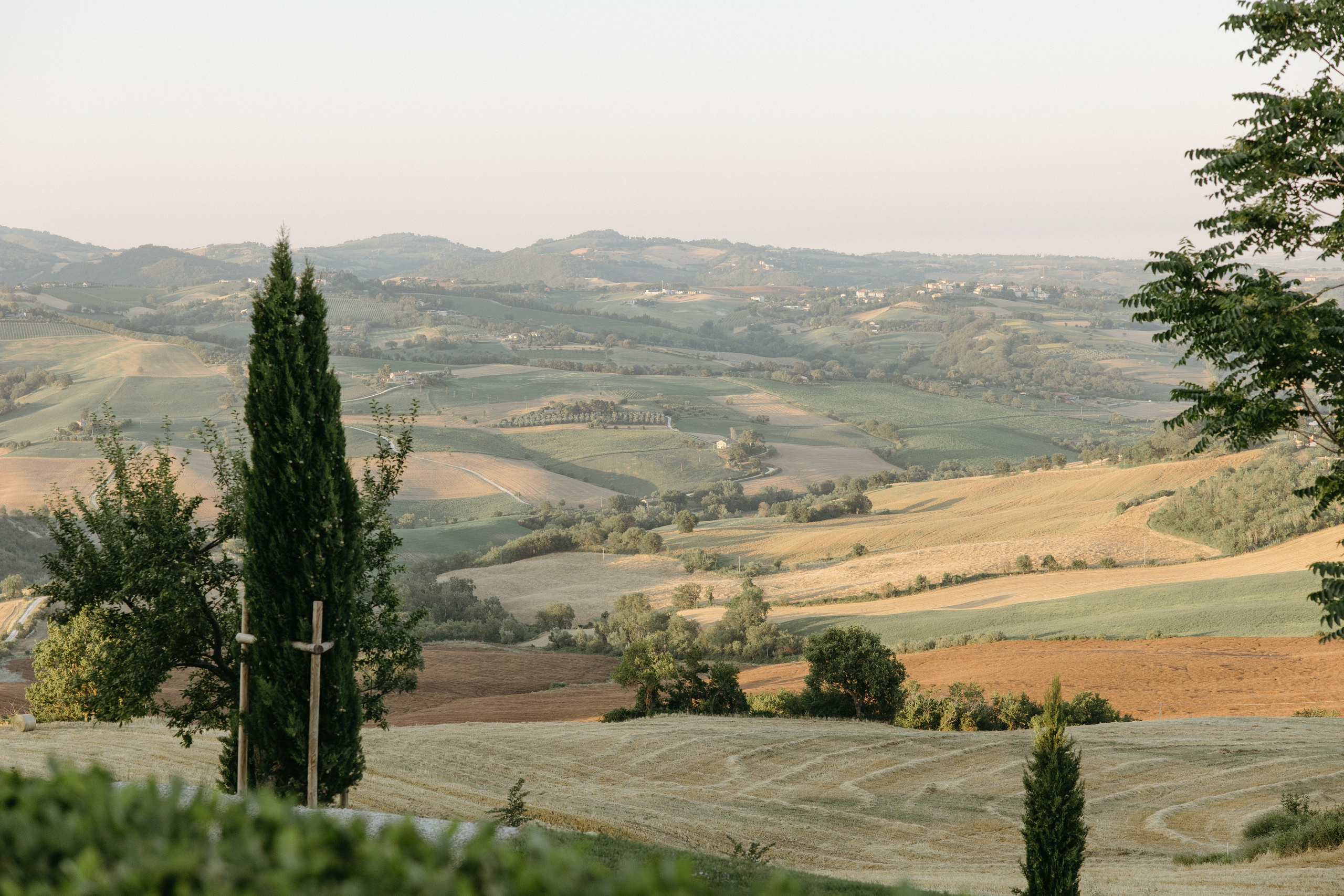 Sofia&Falk. Весільний фотограф Вікторія Саврук
