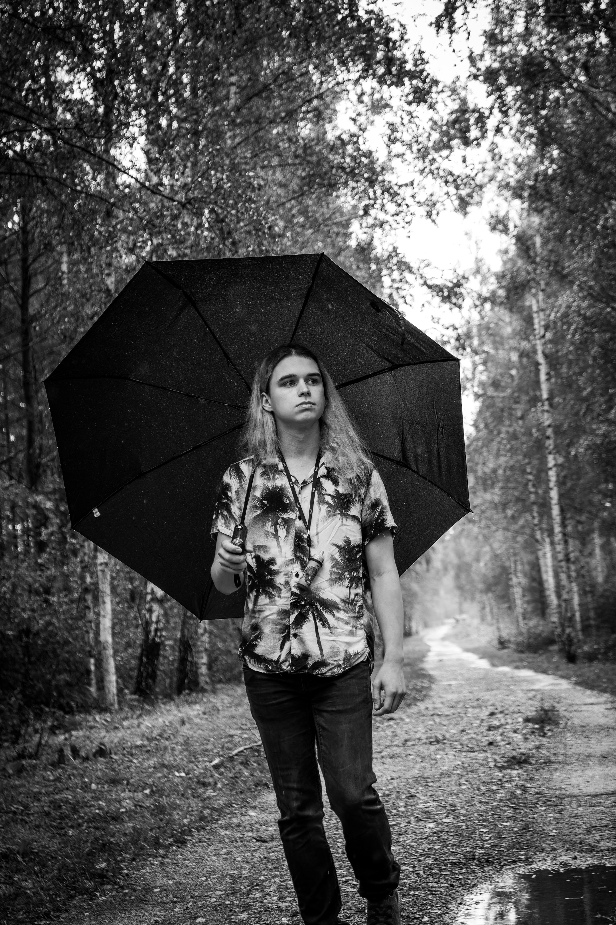 Mets, vihm ja jahedus (Dimitry). Nebula 25 — Fotod teie hingele