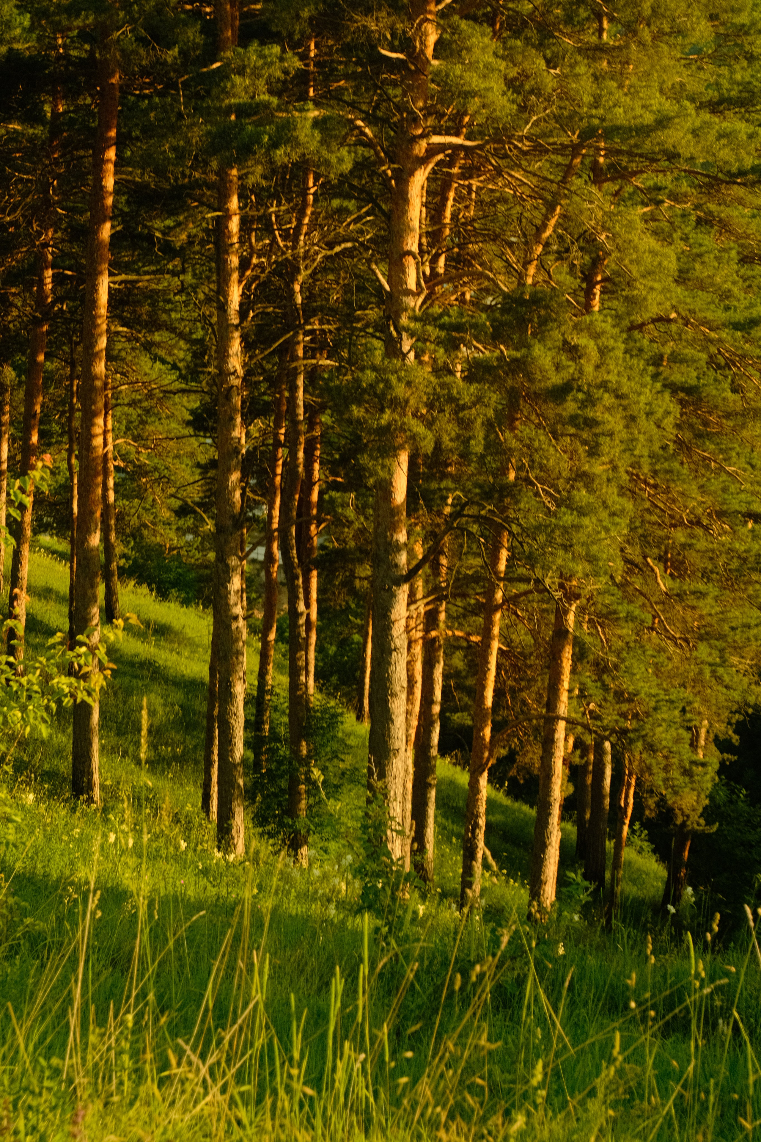 Caucasus & Elbrus. Portrait and Lifestyle Photographer in Vienna — Nick Pavlov