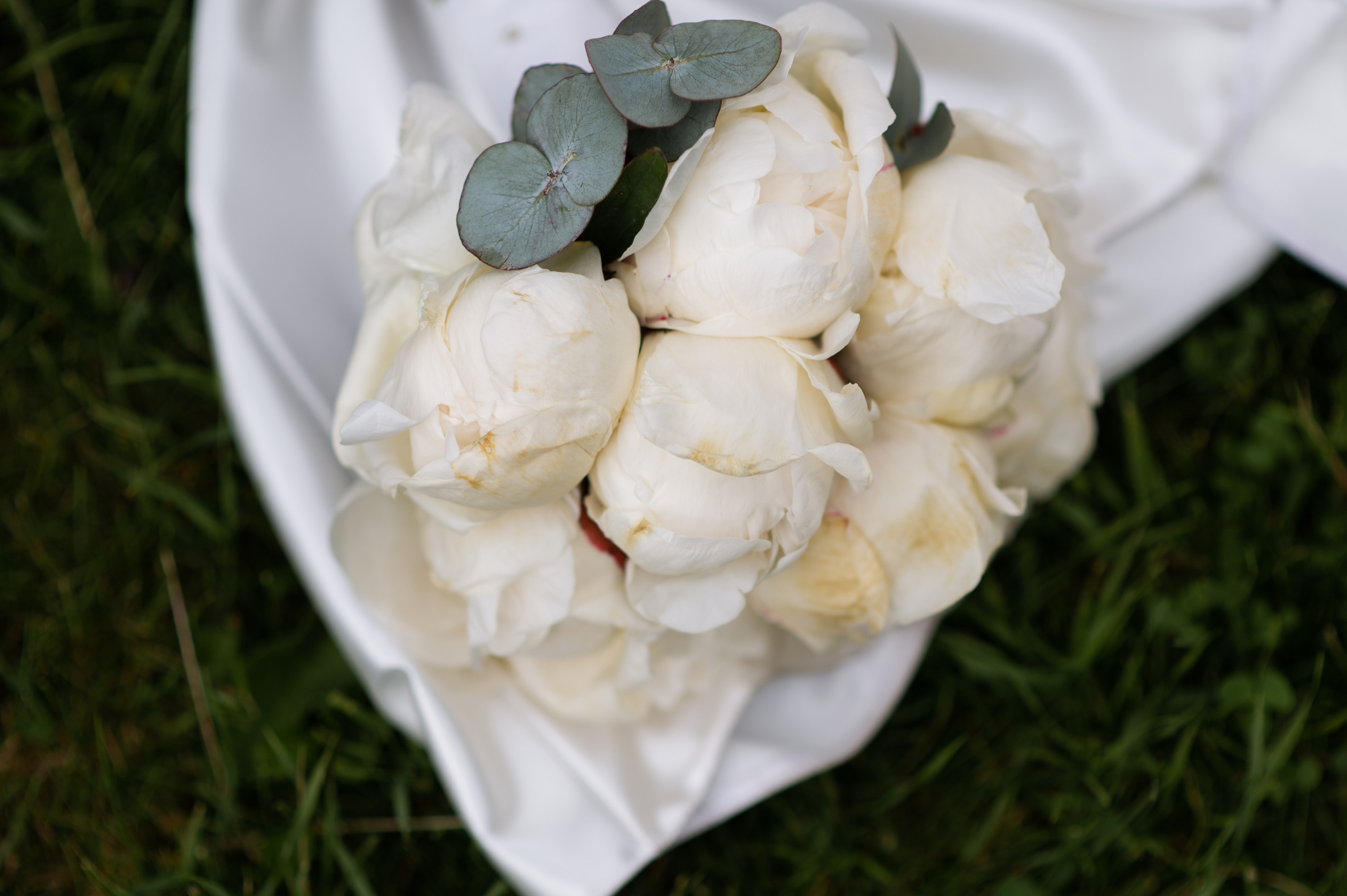 Light. Wedding and commercial photographer