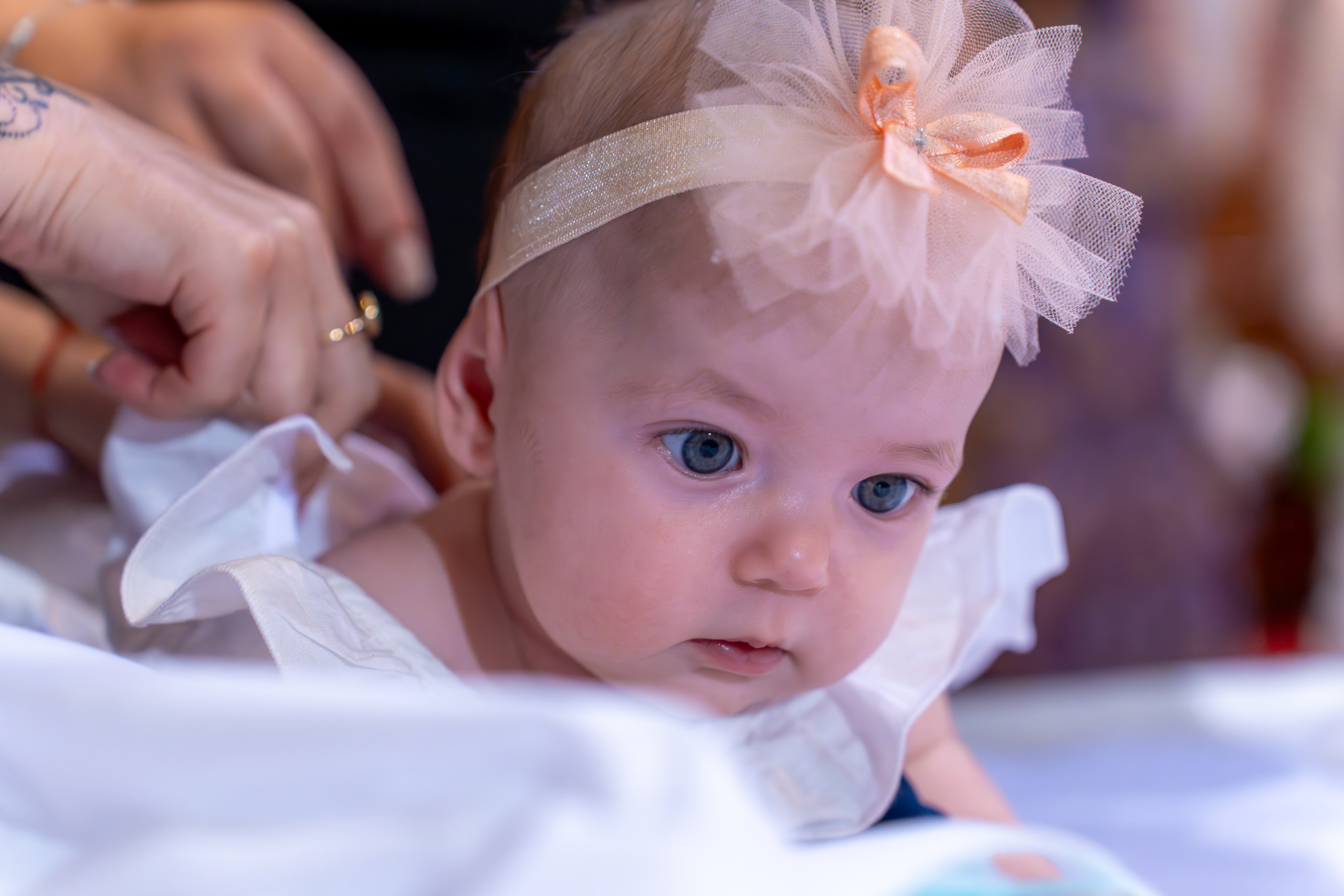 ✨ Portofoliu Botez ✨. Murgeanulucian