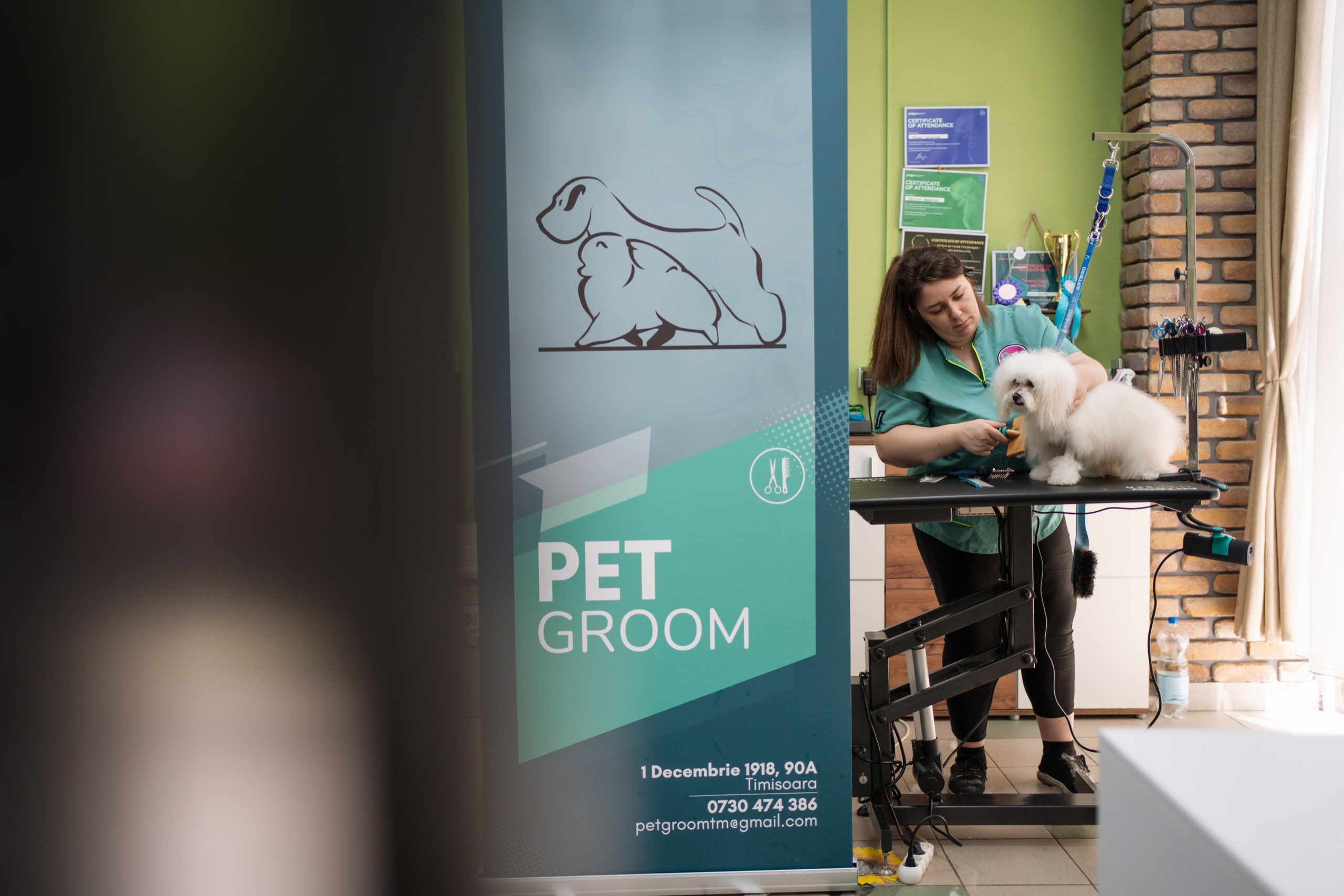 PetGroom Timisoara. Cozac Cristian Photographer