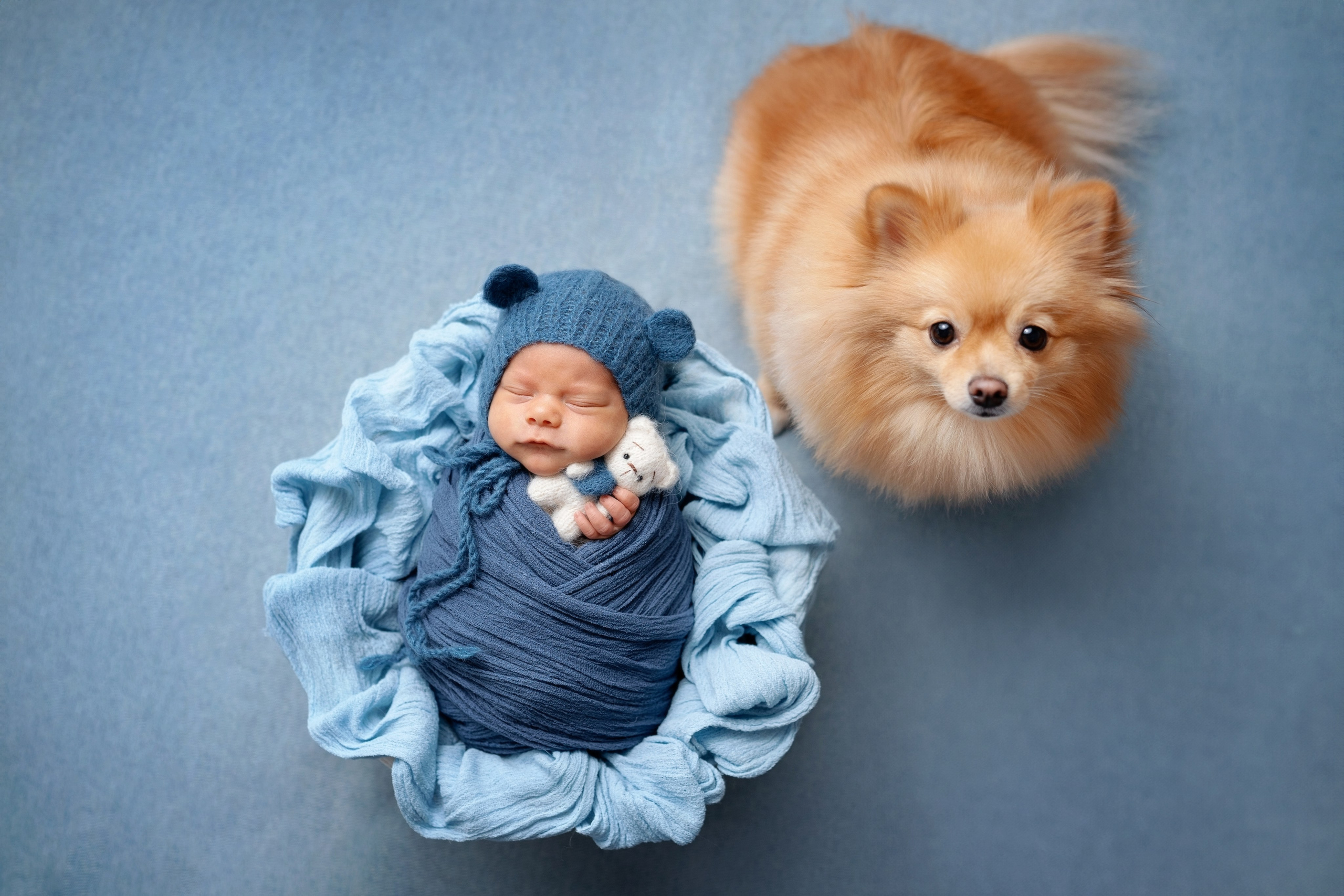 Дамир. Фотограф новорожденных и детей первого года Евгения Михалькевич