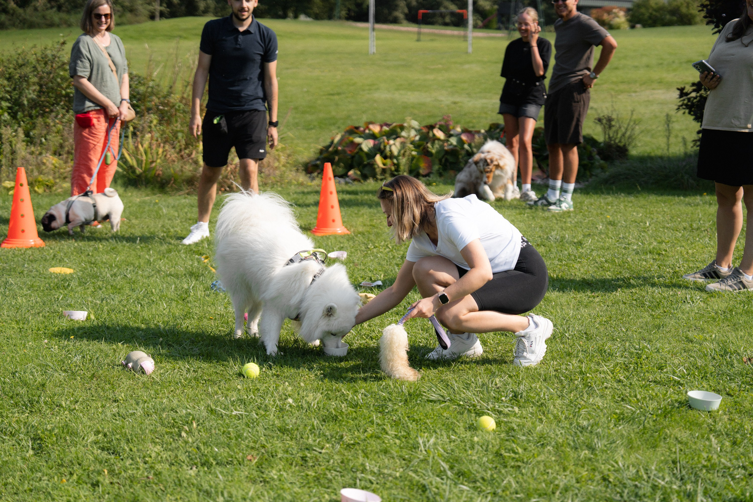 Heppi Dogo fest 2025. Vita Klimaševska ○ Fluffy Soulmate Photography