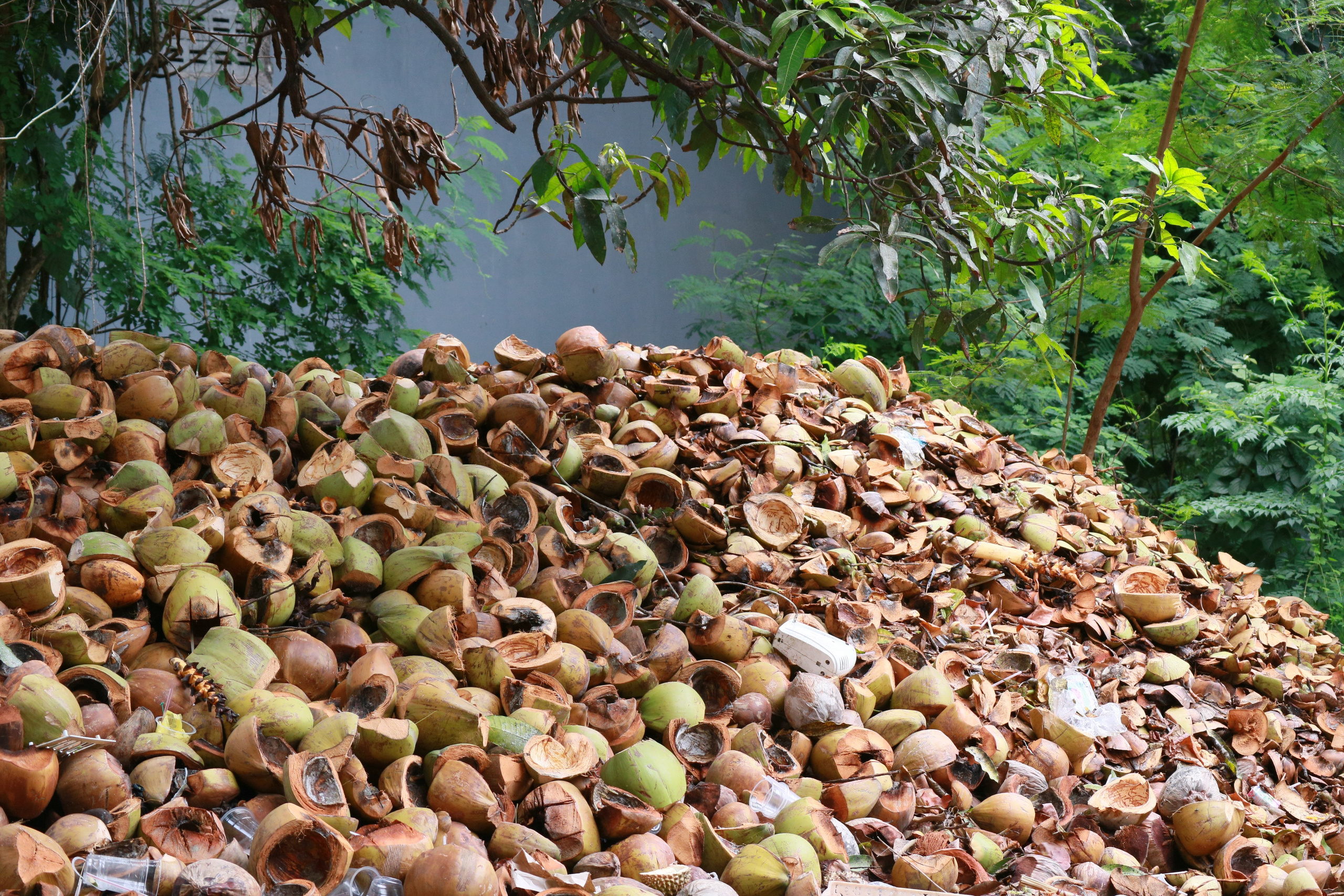 Balinese Days. BNW Around Photography
