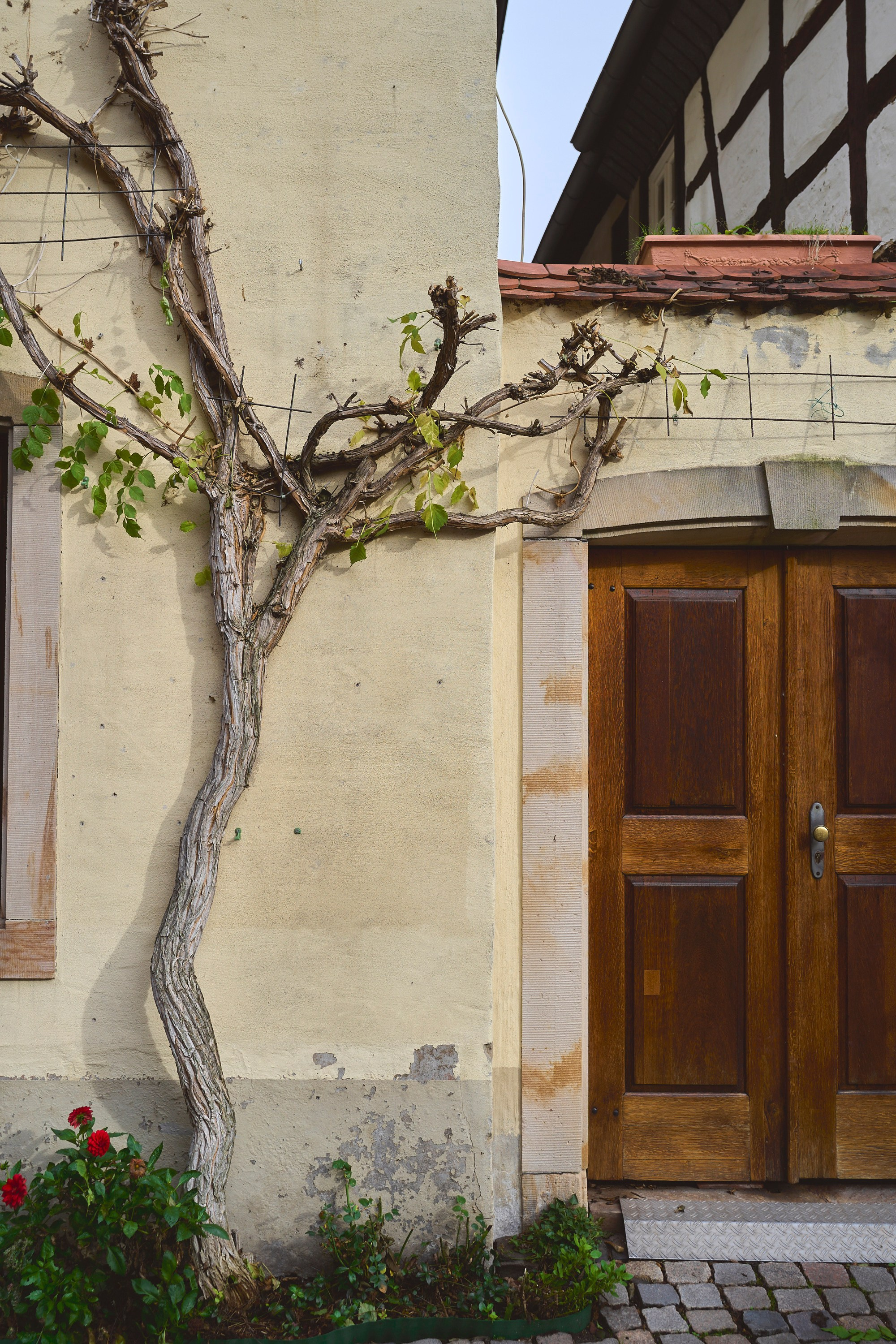 Streetphotgraphy in Germany Neustadt Weinstrasse. Aleksandr Steinbrenner | Streetfotografie
