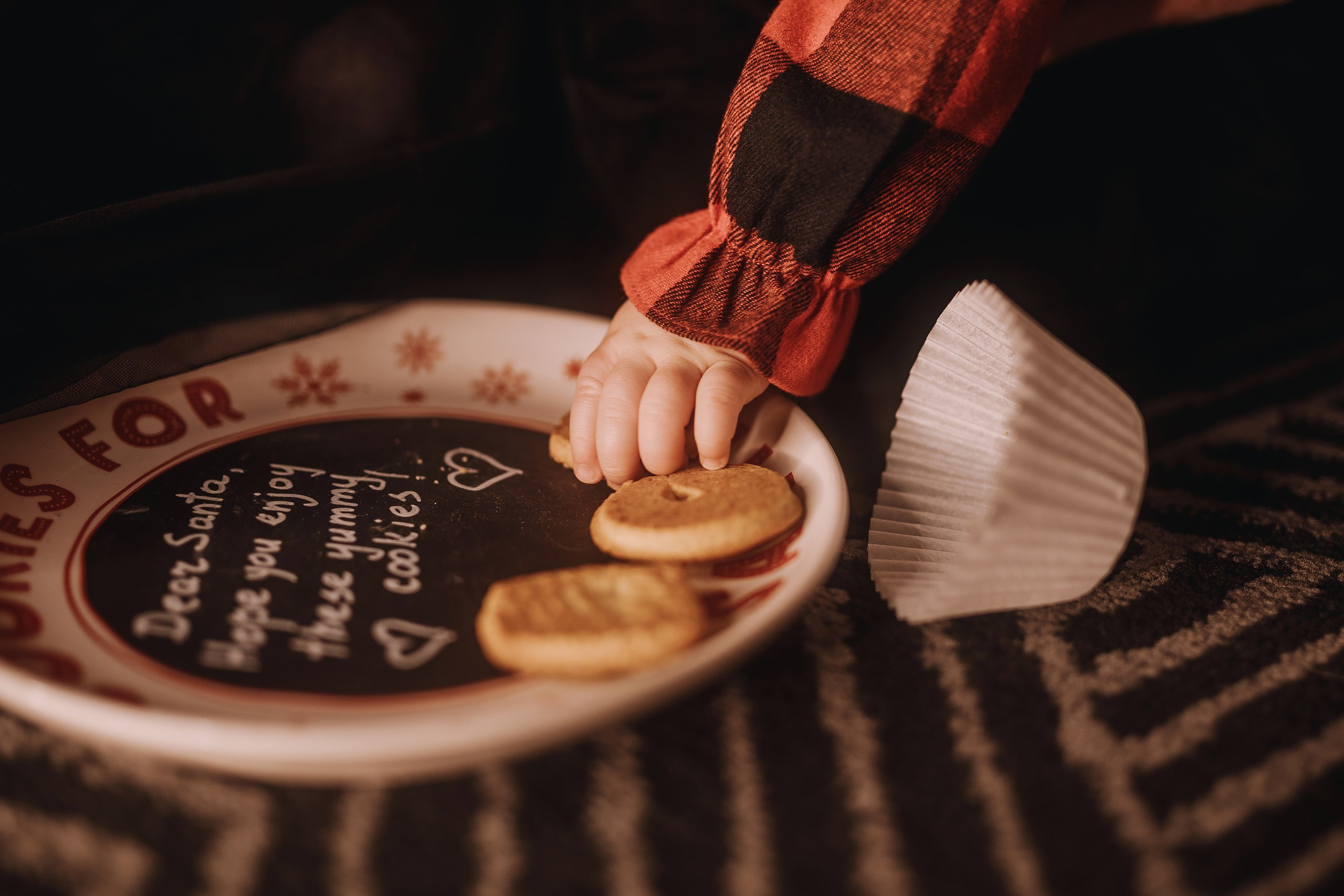 25.11.2023 Christmas Photoshoot 1. Wedding family event photographer in Chicago Nick Yushevich