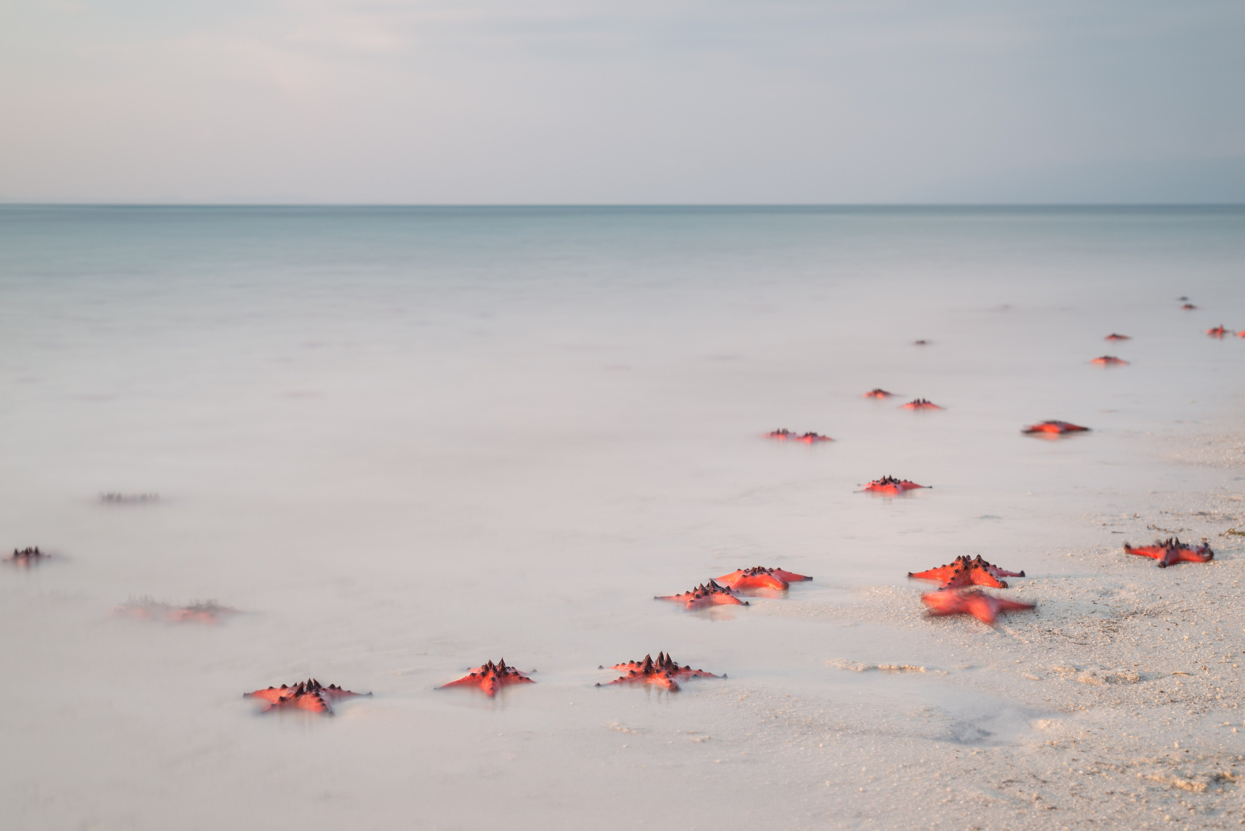 Beijing photographer Mike Pomerantsev