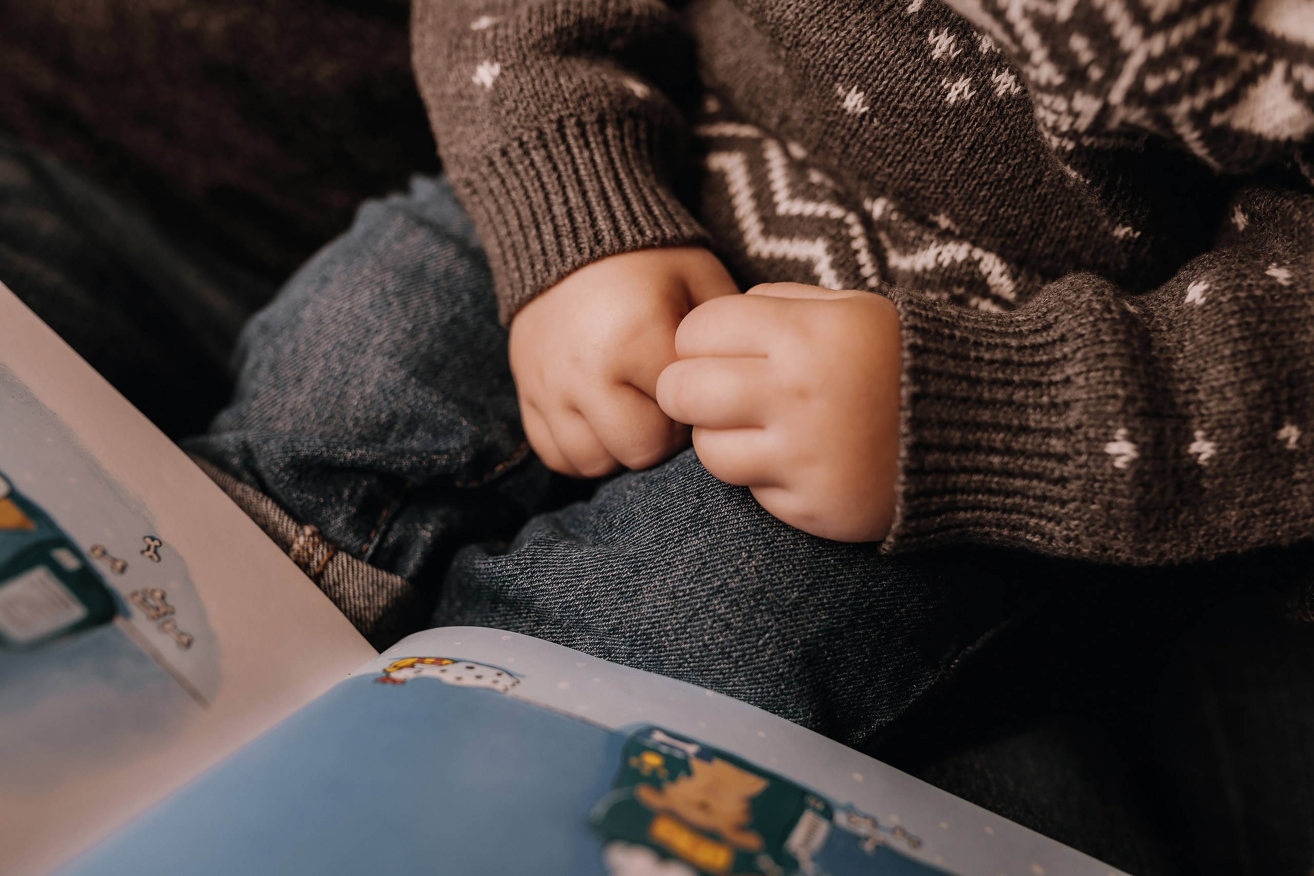 03.12.2023 Christmas Photoshoot. Wedding family event photographer in Chicago Nick Yushevich