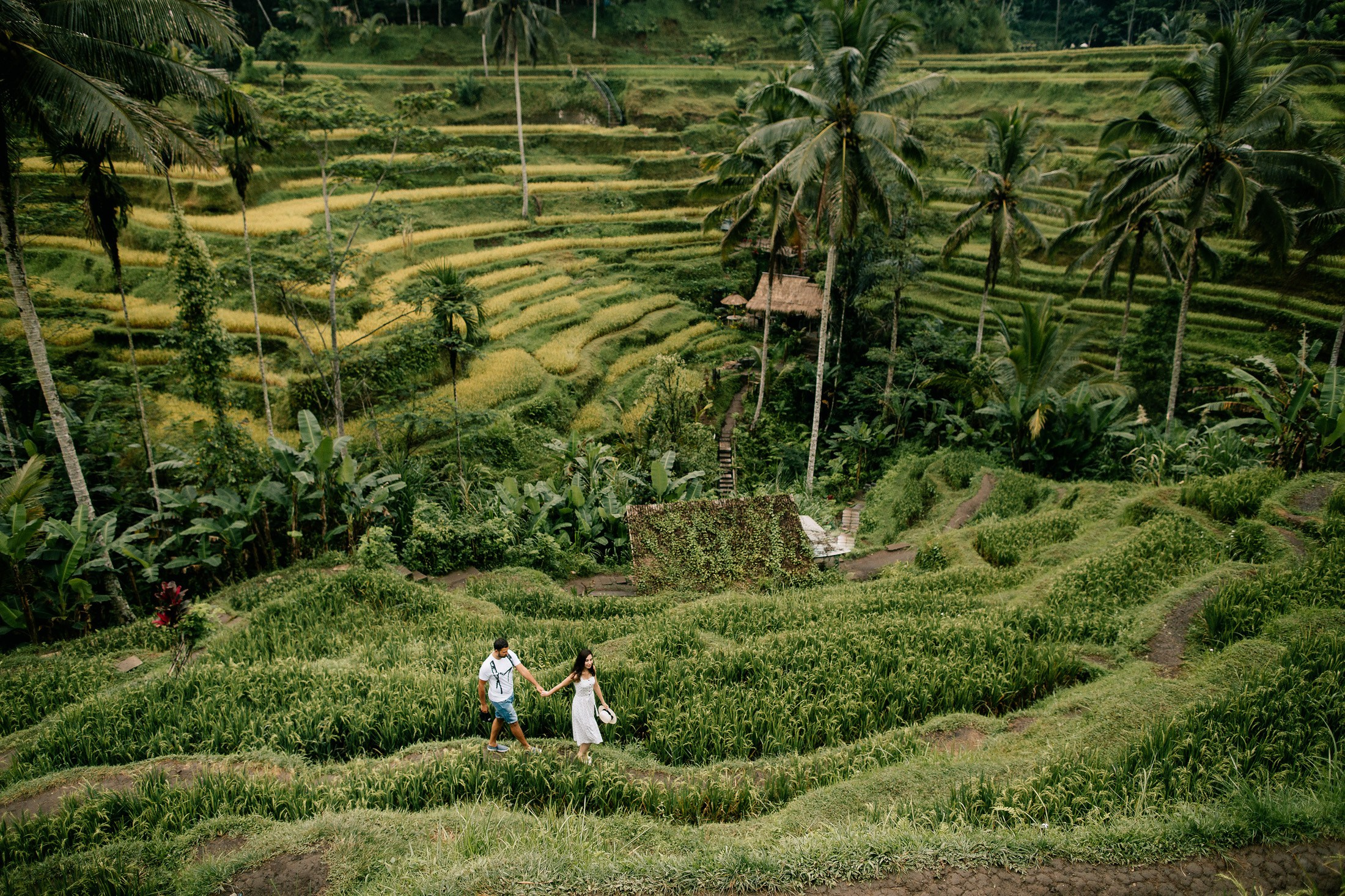 Hotel + Rice terraces. Getitfeel — Aesthetic Photography and Videography