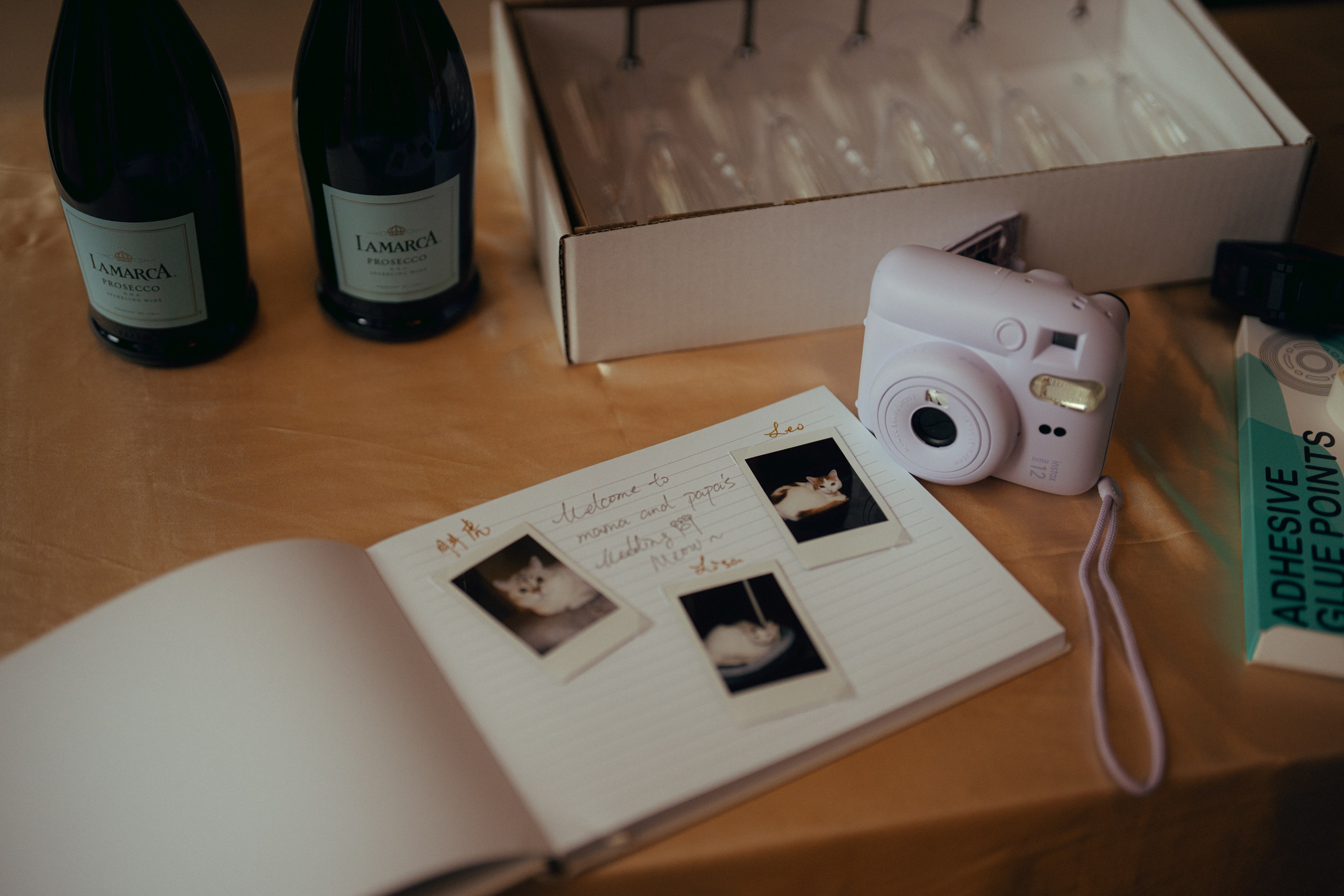 Aaron&Wenjing. Wedding & elopement photographer Viktoriya Kravtsov. Las Vegas