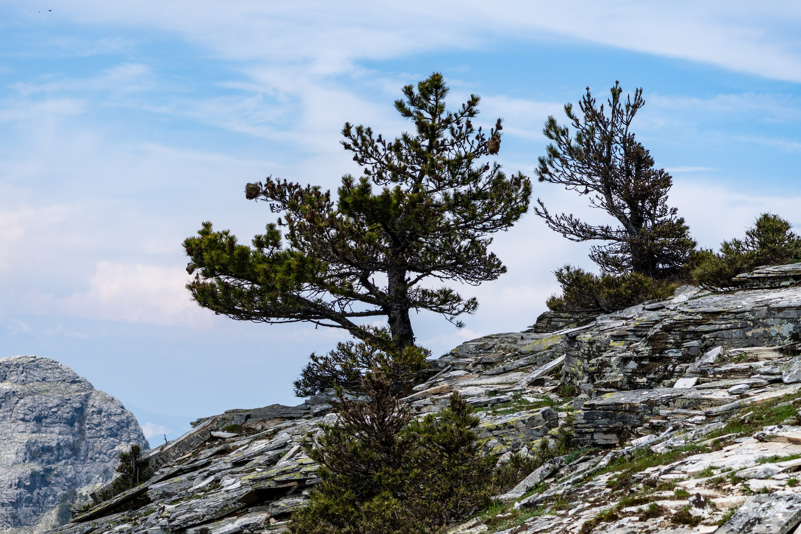 Thasos 2025. Fotografiideplacere.net