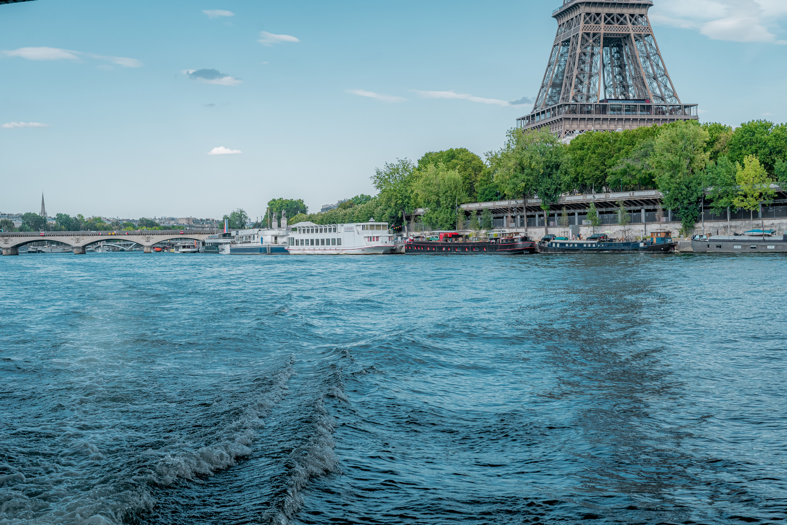 Suprise Proposal on a boat in Paris