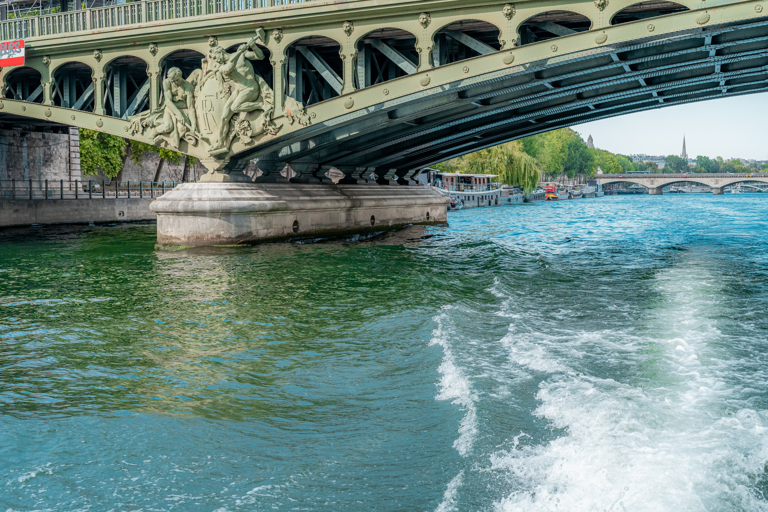 Suprise Proposal on a boat in Paris