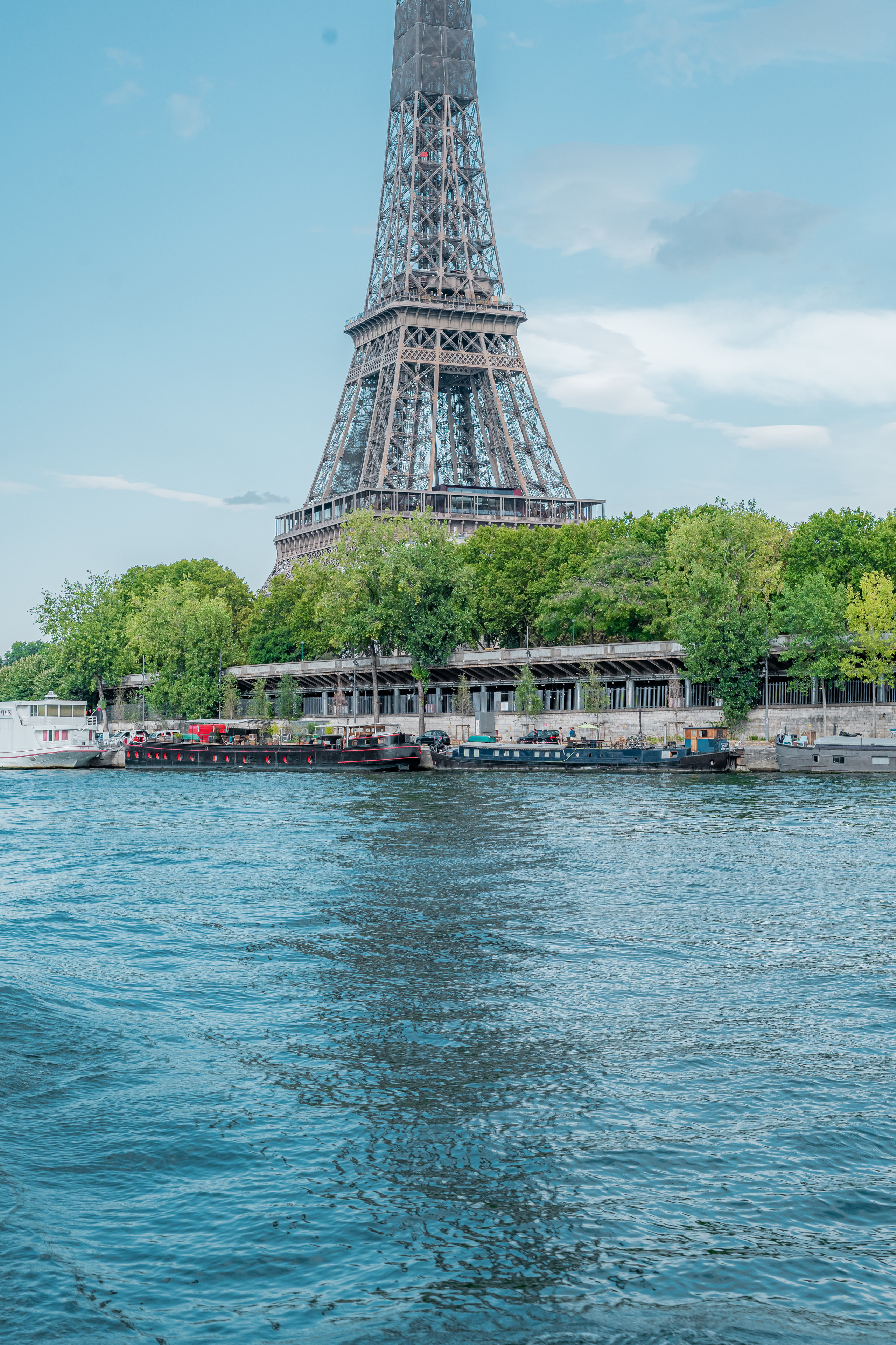 Suprise Proposal on a boat in Paris