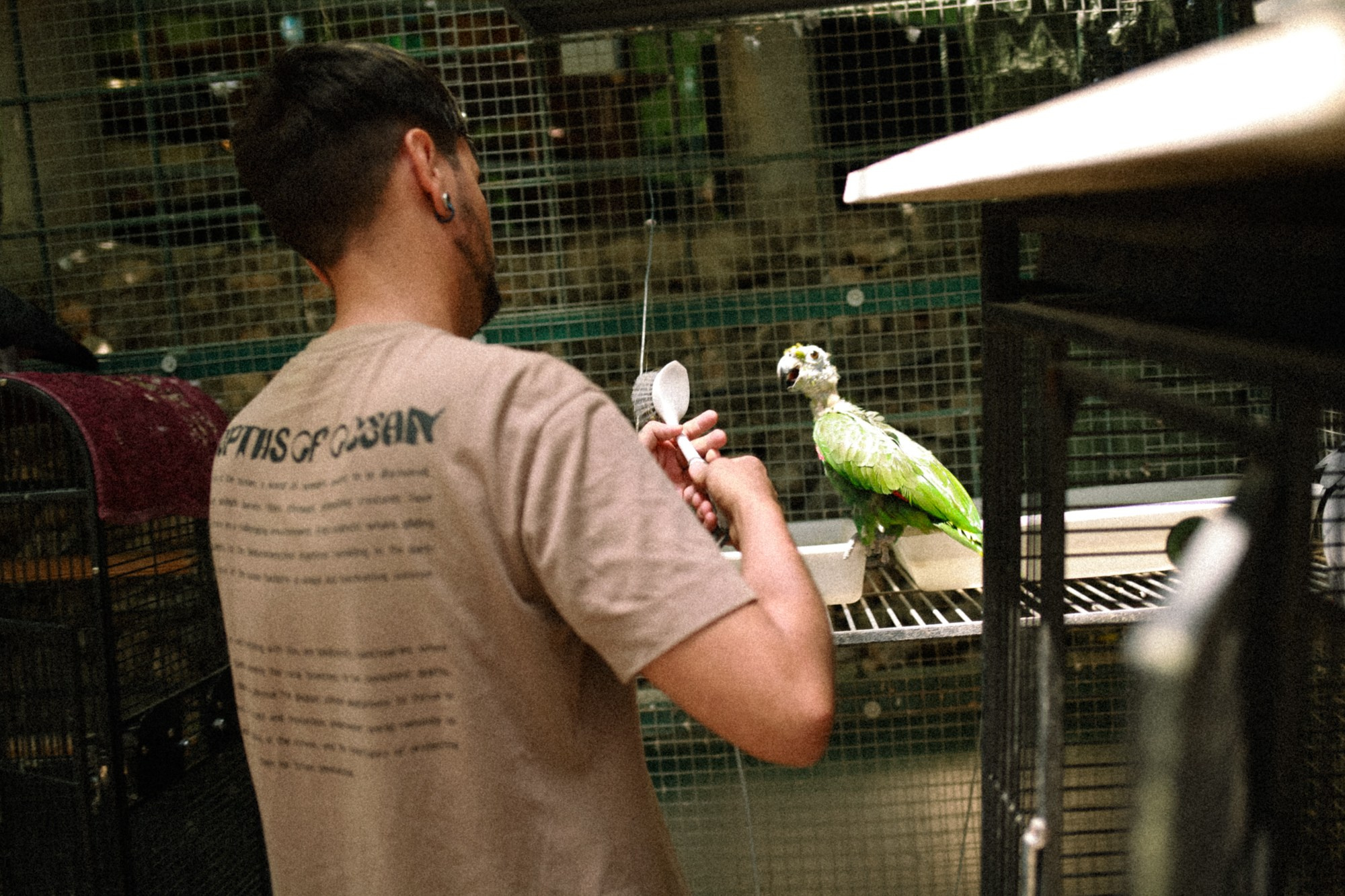 BIRDS. Marina Kálcheva – Photographer & Visual Artist in Barcelona