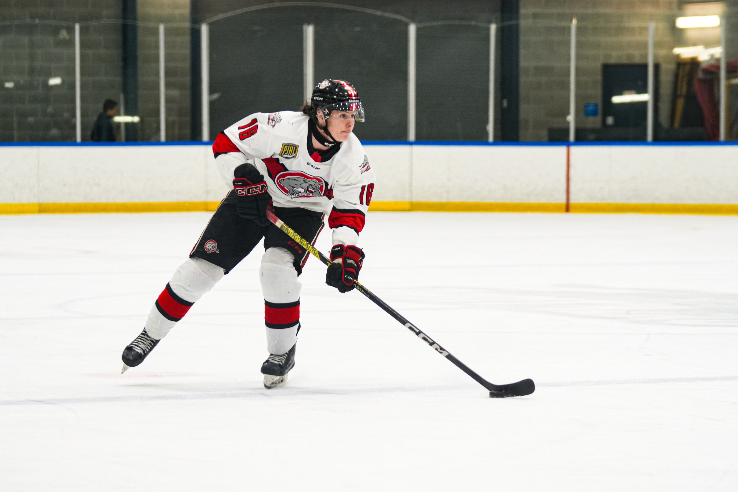 Shuttergry Photography