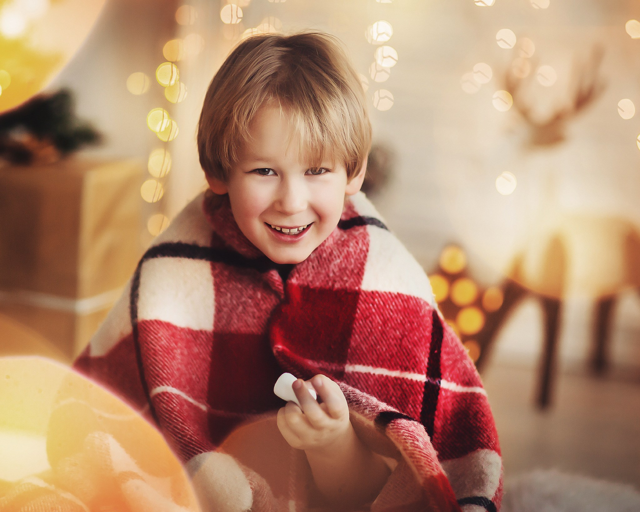 Christmas. Alla Semchenko — Photography Gran Canaria, Art / Family / Kids / Video & Photo Books