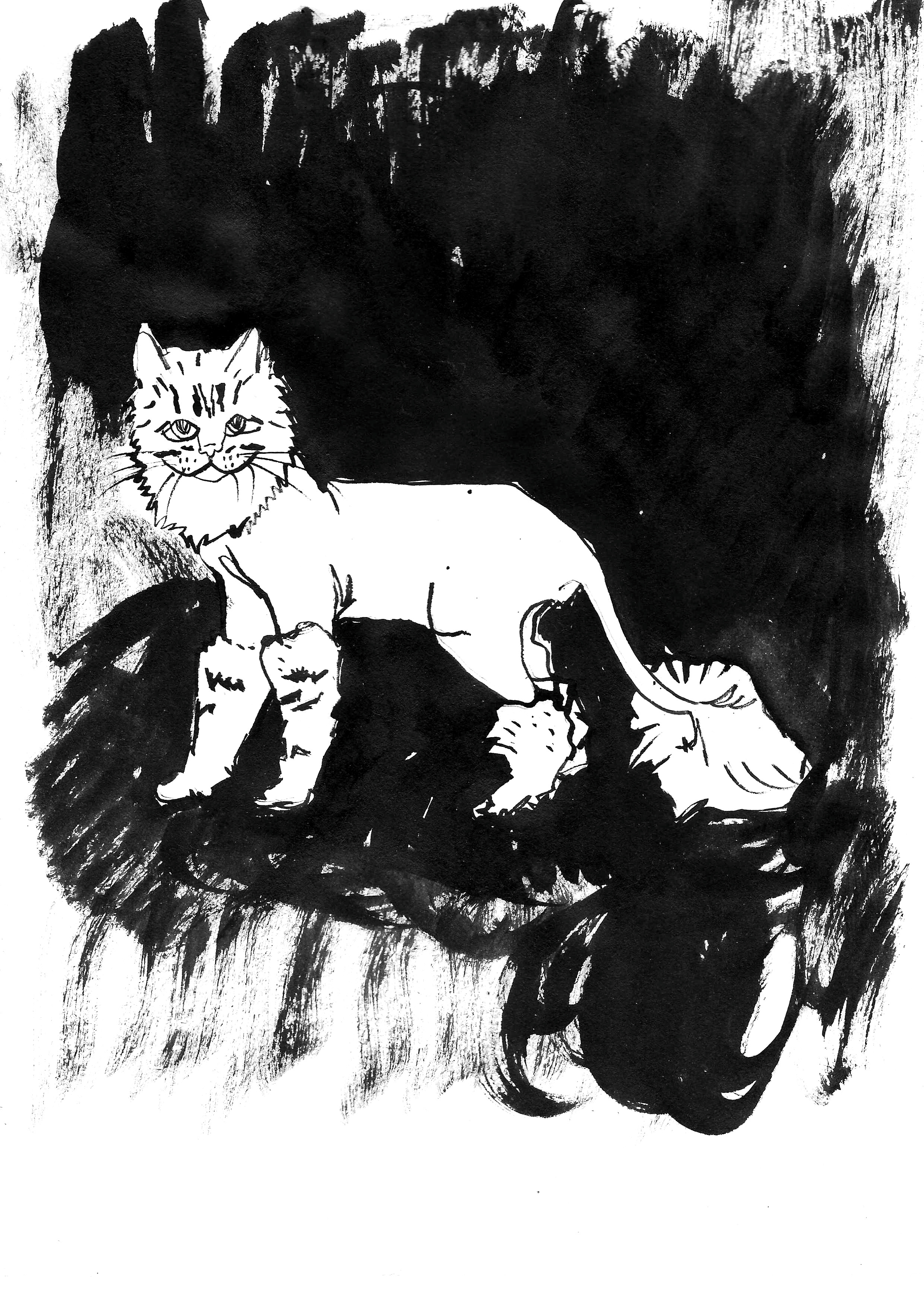 Social media series, 20 x 30 cm, 2021