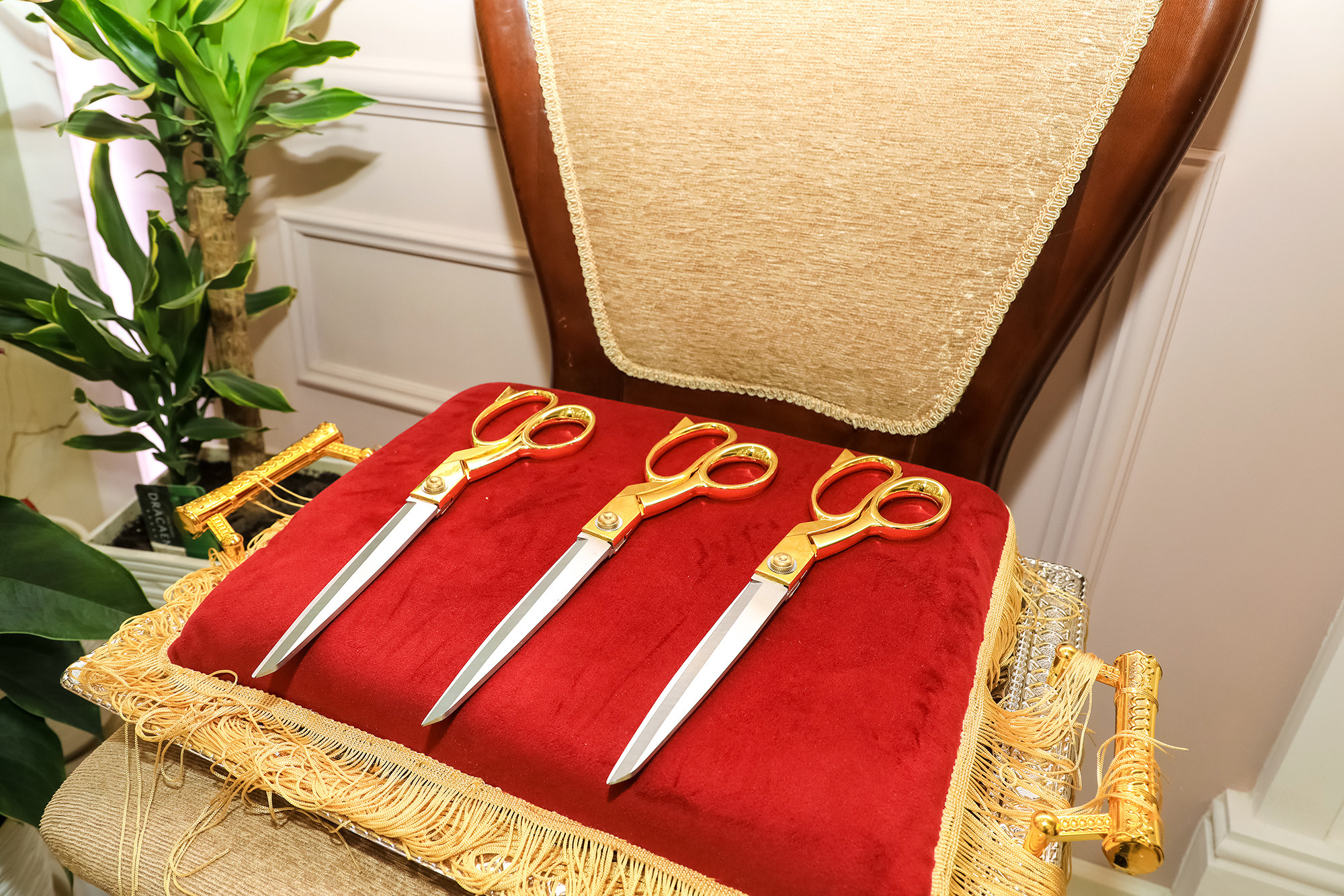 Открытие консульства Словакии. Семейный, детский, репортажный фотограф в Ташкенте Елена Аллабергенова