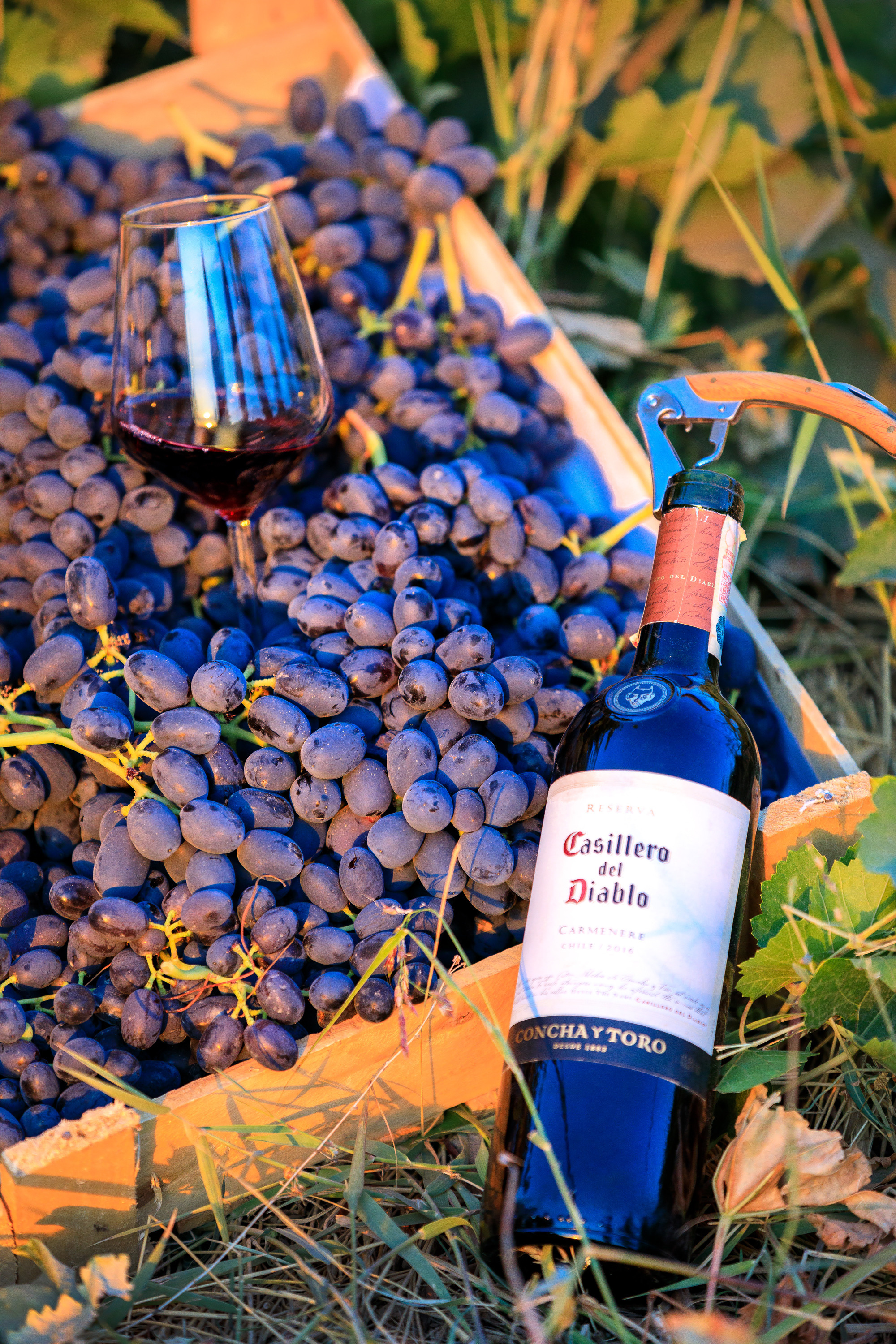 Тематическая фотосессия для талантливого молодого винодела. Семейный, детский, репортажный фотограф в Ташкенте Елена Аллабергенова