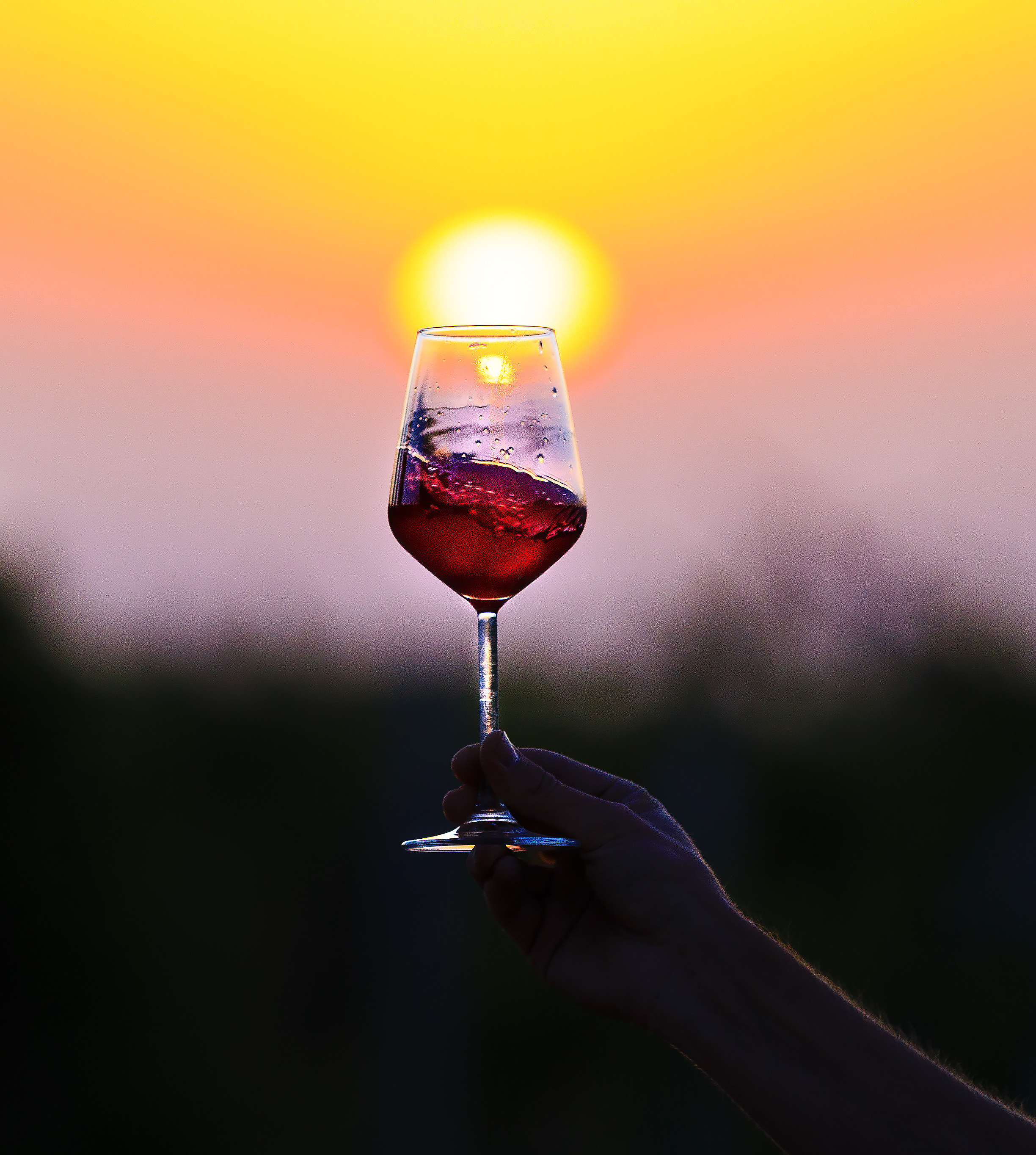 Тематическая фотосессия для талантливого молодого винодела. Семейный, детский, репортажный фотограф в Ташкенте Елена Аллабергенова